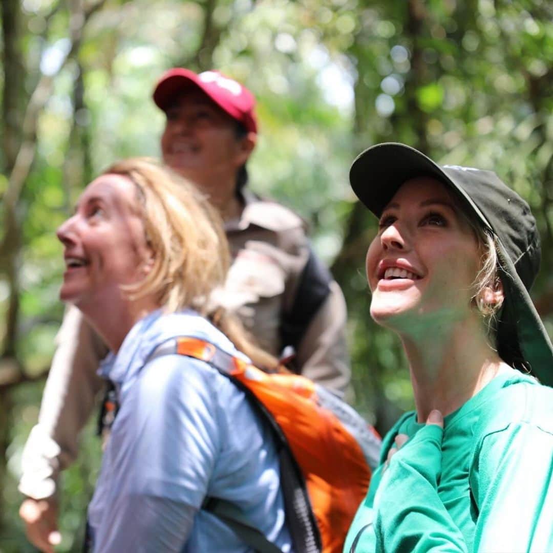 エリー・ゴールディングさんのインスタグラム写真 - (エリー・ゴールディングInstagram)「A few weeks ago I visited the Amazon rainforest in Colombia with @wwf_uk to experience firsthand why forests are so crucial for nature, for people and for climate. And it was more beautiful than I ever could have imagined.    But every day incredible forests like the Amazon, and the species that rely on them, are under threat. Like the jaguar – whose corridors we followed through the rainforest. And the river dolphins who played beside my boat on the laguna.    Just a few days after my trip, at least 125 river dolphins died in the Brazilian Amazon because of a devasting drought that is developing across the region. Forests habitats, nature and people are experiencing the catastrophic effects of climate change RIGHT NOW.    On my journey, I had the privilege of meeting inspirational local community members who are protecting the Amazon. They are forming forest brigades, farming more sustainably and leading wildlife monitoring projects for endangered species such as jaguars and river dolphins.  We will not reach our global goals on deforestation without local and Indigenous people like this.    Despite numerous pledges and declarations to protect our forests by our world leaders and decision makers - deforestation rates are not coming down fast enough. Our forests are heading for a future in which they are emptied of wildlife, damaged by climate change and increasingly pressured by wildfires, development and unsustainable food systems.    We have just seven years to meet the global goals of halting and reversing deforestation. And we all have a part to play. You, me, all of us. There's no time to waste. Let’s turn promises into action NOW.   #ForestPathwaysReport #Forests #ForOurWorld」10月26日 23時02分 - elliegoulding