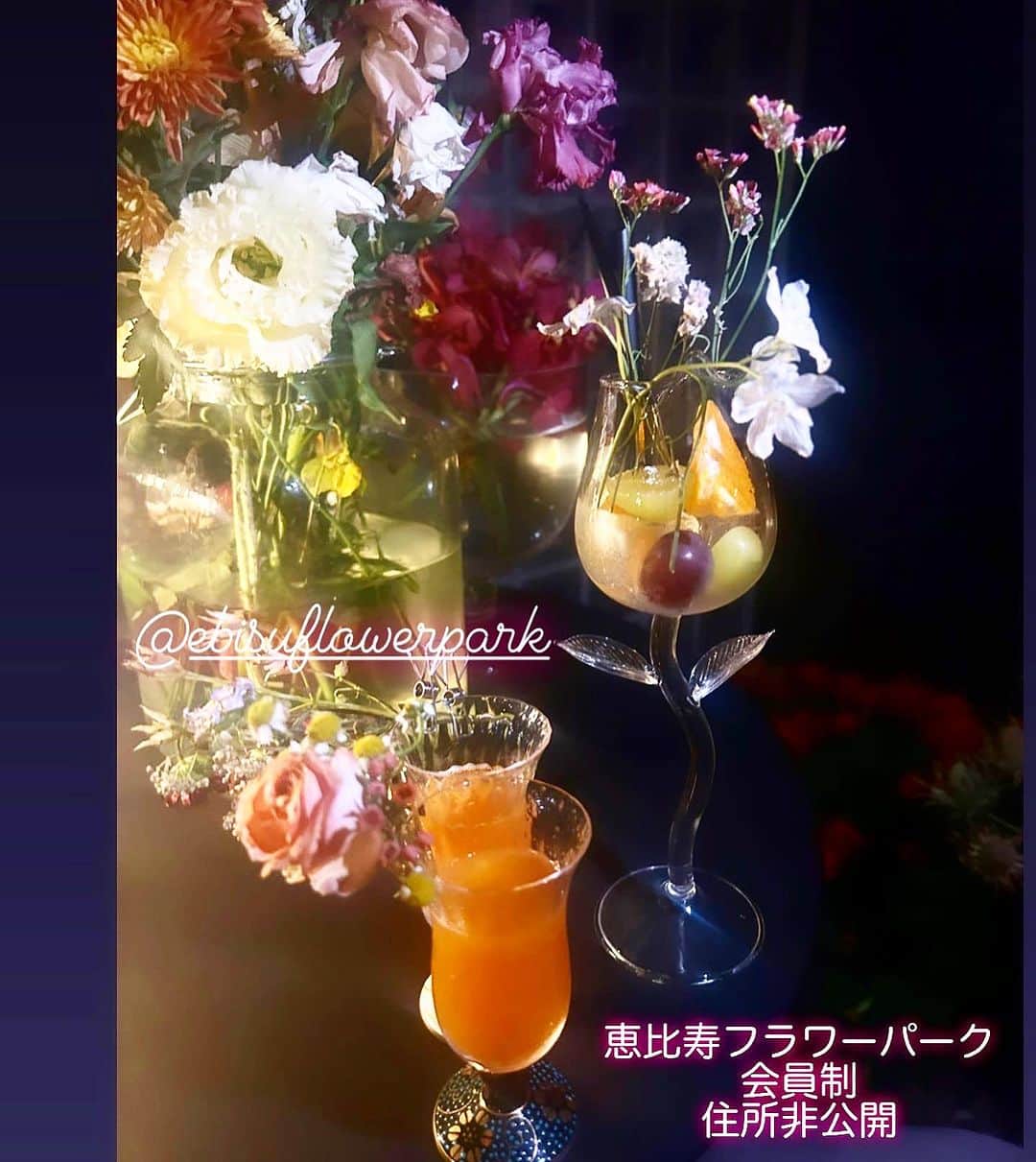 吉田麻衣子さんのインスタグラム写真 - (吉田麻衣子Instagram)「恵比寿フラワーパーク💐さんの内覧会に ご招待いただきました @ebisuflowerpark   1万本の花に囲まれた素敵な空間で 2種類のカクテルとフルーツ盛りをいただきました✨🍸  （カクテルはアルコール、ノンアルコール選べます）  お伺いするのは２回目になりますが 今回は秋のお花で満たされていて とても素敵でした🎃✨  季節ごとに変わるお花の空間 大切な日や　お花に癒されたい日に是非行ってみてほしいです  恵比寿フラワーパーク 💐会員制 💐住所非公開  #PR #恵比寿フラワーパーク #恵比寿バー #恵比寿 #フラワーパーク #ebisuflowerpark  #ebisu #flowers  #instahappy  #instafollow  #instalike #instagood」10月26日 23時09分 - maiko.yoshida