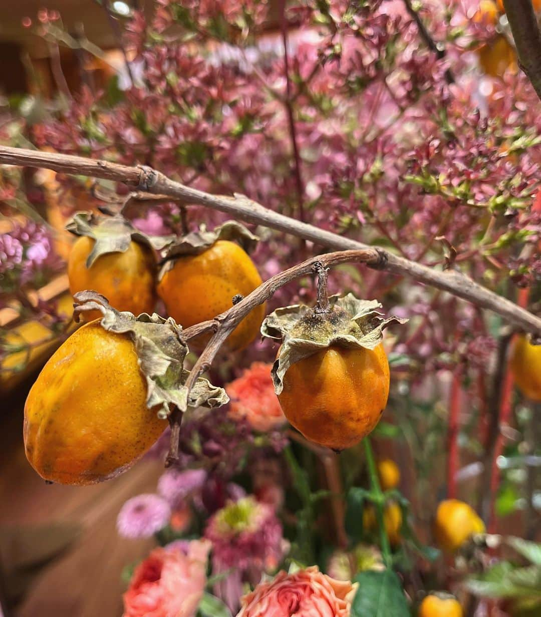 眞家泉さんのインスタグラム写真 - (眞家泉Instagram)「. 水無月という、かしわば紫陽花だそう🦩 秋色で素敵 柿もいて、柿拾い風も可愛くて ラストはまんまる癒やしのピンポンマム🌼  #報ステのお花」10月26日 23時43分 - maie_izumi