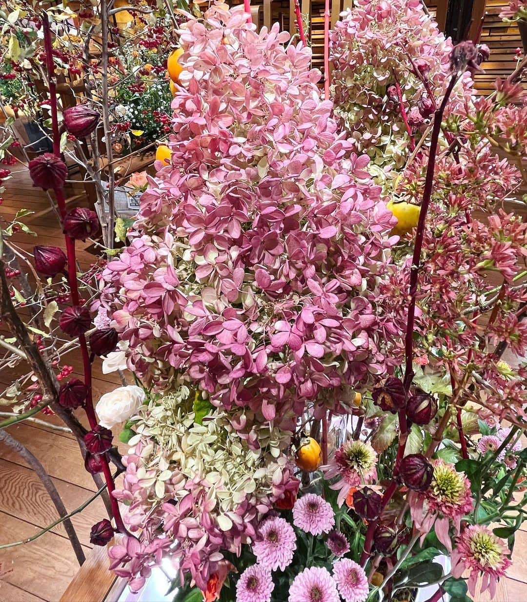 眞家泉のインスタグラム：「. 水無月という、かしわば紫陽花だそう🦩 秋色で素敵 柿もいて、柿拾い風も可愛くて ラストはまんまる癒やしのピンポンマム🌼  #報ステのお花」