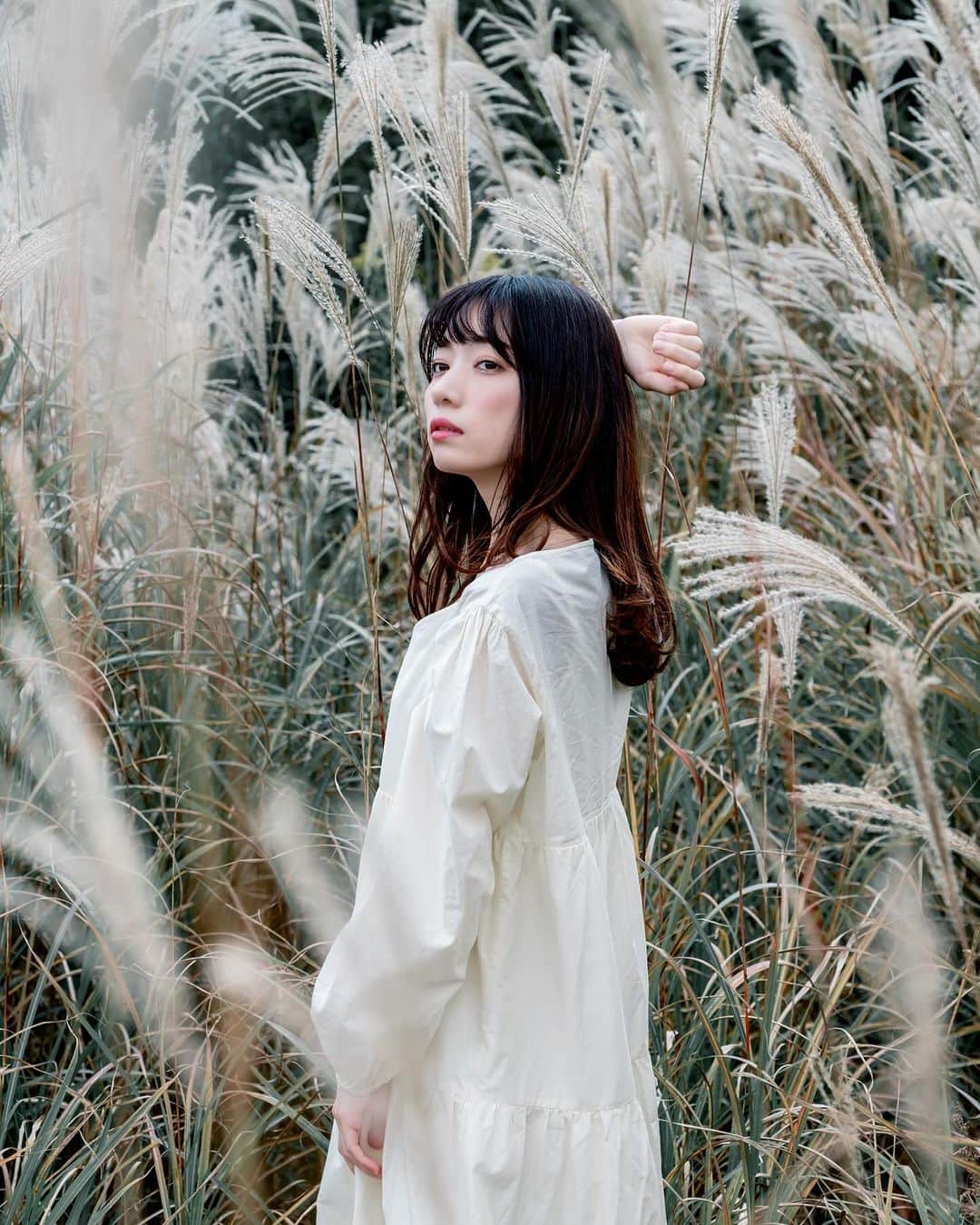 shabonのインスタグラム：「* . . . . . ほわほわススキが綺麗でした🌾 . 先週コロナワクチン受けた時に 副反応でめちゃくちゃ眠い🥱 と思ってたけど 今週もワクチン関係無く 眠い🥺🥺 . model : @yuriko_711s . . FUJIFILM X-T5 /  XF50-140mm F2.8 R LM OIS WR . . . . . . *」