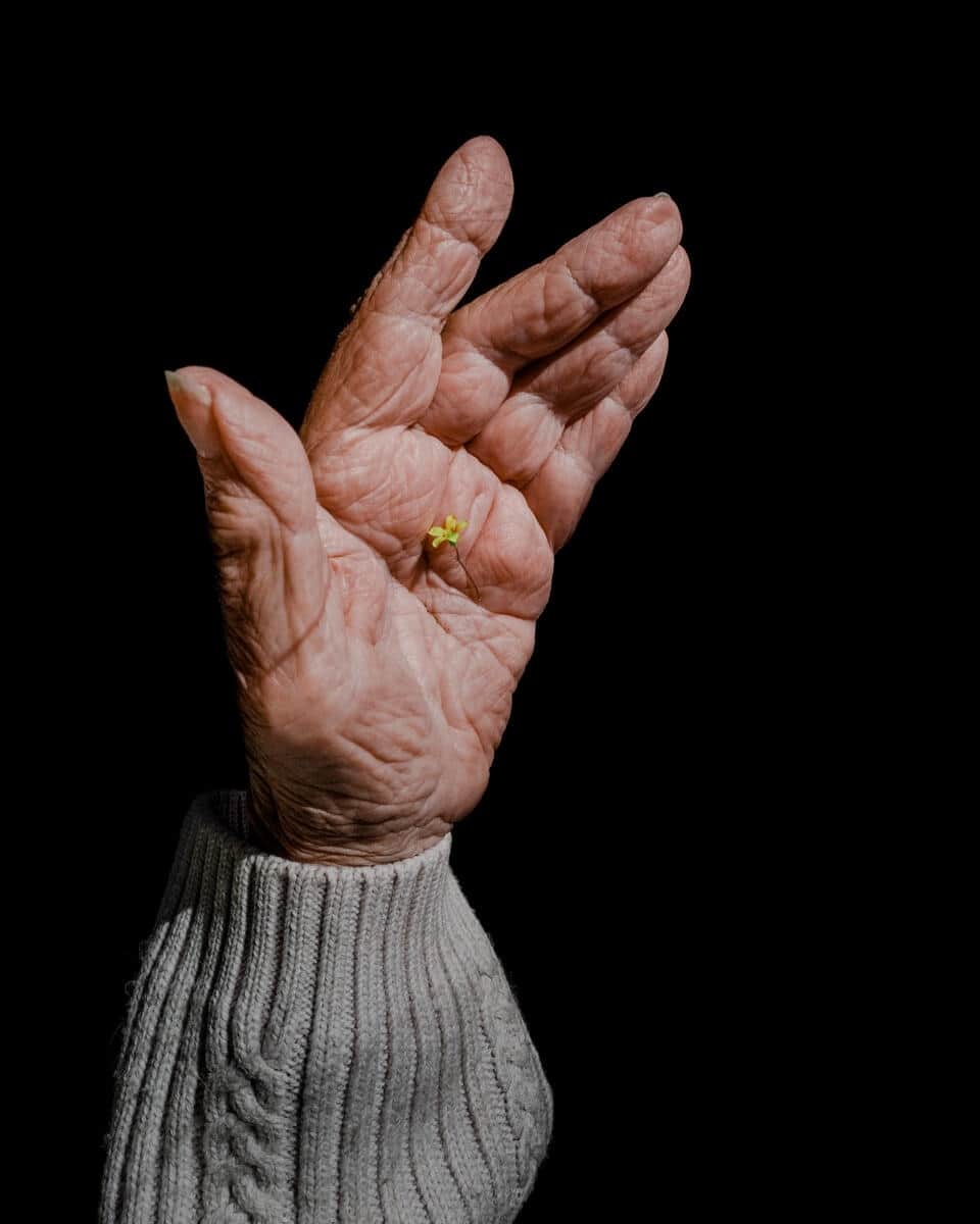 Magnum Photosのインスタグラム：「What's Ours, a new exhibition of works by @myriamboulos, is showing at @galerie.made in collaboration with Magnum Gallery from November 2 – December 22, 2023 🌹⁠ ⁠ A powerful ode to tenderness in the face of violence and political upheaval, What’s Ours traces the turbulent landscape of the 2019 revolution in Lebanon through the devastating consequences of the Beirut port explosion in August 2020. ⁠ ⁠ “Who does the revolution belong to? What do we own if not our bodies? What is ours?” writes Mona Eltahawy of Boulos’ first project.⁠ ⁠ 🔗 Head to the link in the @magnumphotos bio to plan your visit.⁠ ⁠ PHOTOS: What’s Ours. Beirut, Lebanon. 2019-2021. ⁠ ⁠ © @myriamboulos / Magnum Photos」