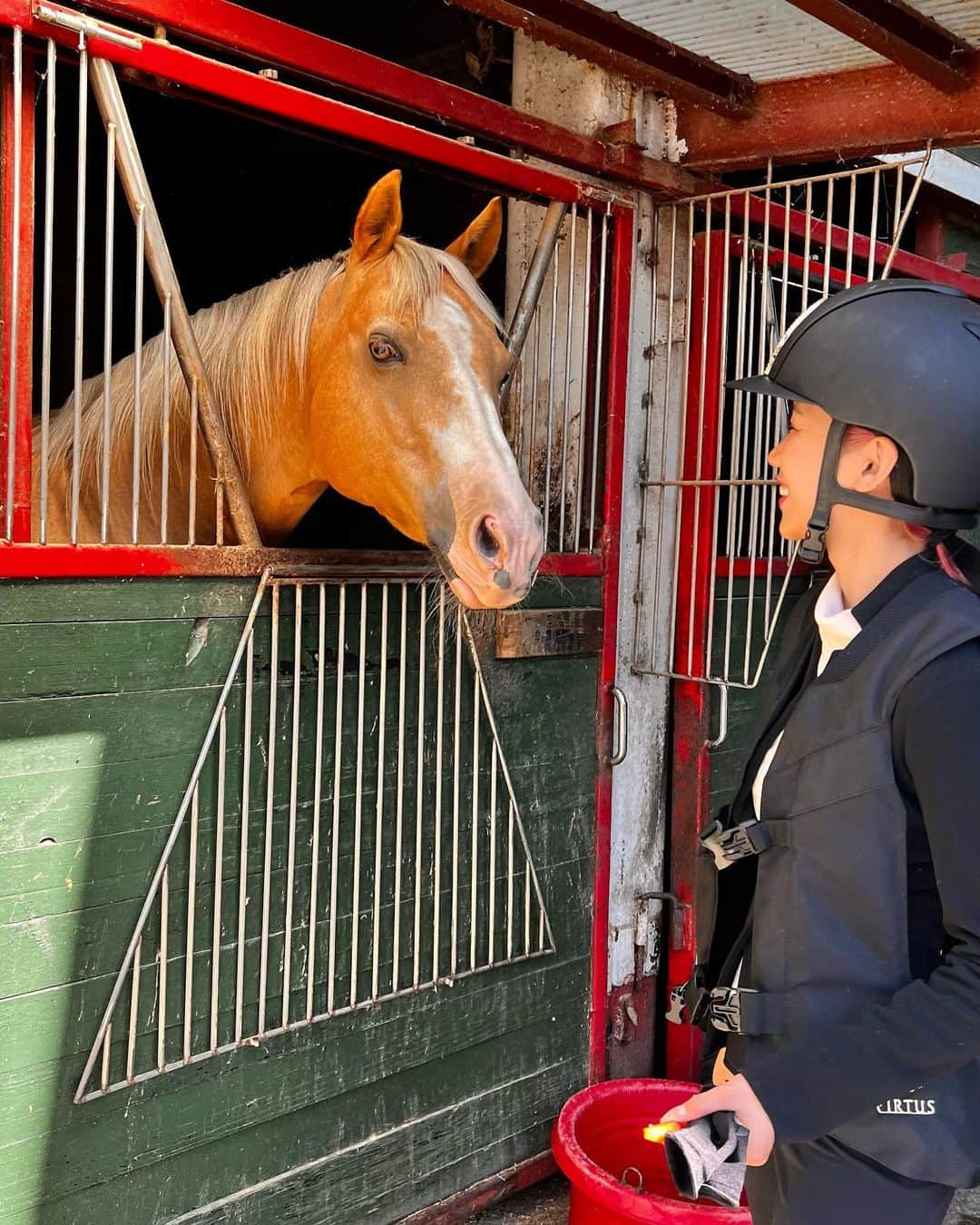 yu-yu.（友癒）さんのインスタグラム写真 - (yu-yu.（友癒）Instagram)「. 先日かなり久しぶりに乗馬へ🏇  ブリティッシュもウエスタンも両方経験させてもらえて最高にリフレッシュになりました✨ 感覚戻るまでに時間はかかりそうだけど、やっぱり楽しい！ありがとうございました🙏  #乗馬 #乗馬クラブ #乗馬女子 #ブリティッシュスタイル #ウエスタンスタイル」10月27日 0時17分 - ____yu_yu____