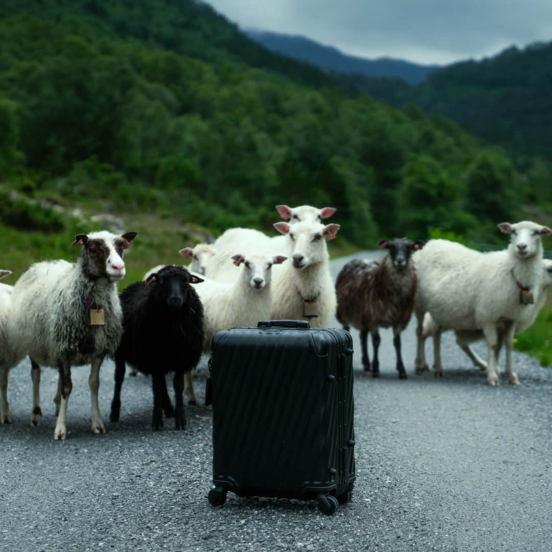 トゥミのインスタグラム：「19 Degree Aluminum in the wild.  #TUMI19D」