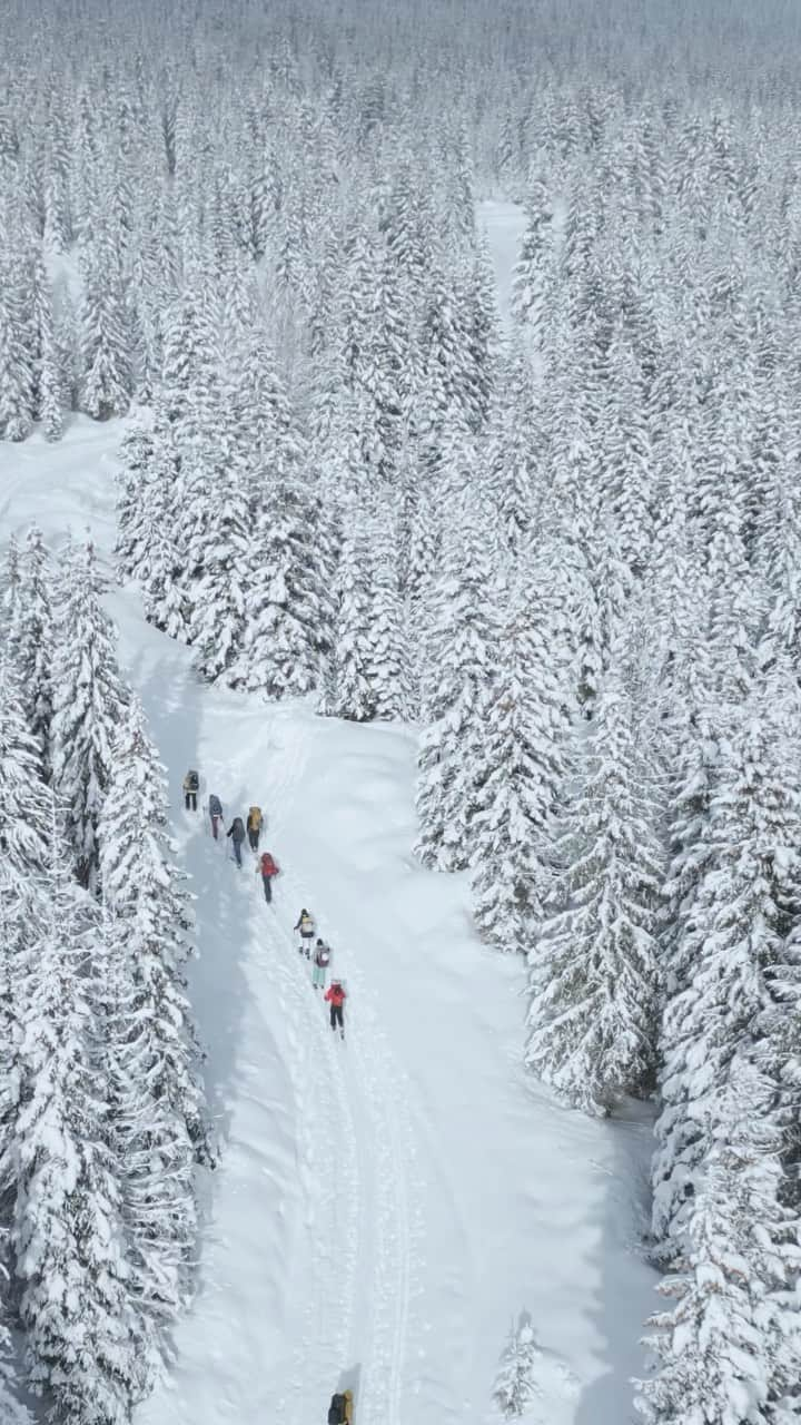 アークテリクスのインスタグラム：「Get ready for another year of adventure, learning, and community at the 2024 Arc’teryx Backcountry Academy, back in Whistler, Canada for a second year.   Our clinic line-up is now LIVE through the link in bio. Browse our clinic offerings before registration is live on November 7 at 12:00PM PST.   Join us as we embark on an unforgettable journey deeper into the heart of the backcountry, immersing ourselves in the breathtaking landscapes of Whistler.   #arcteryxacademy」