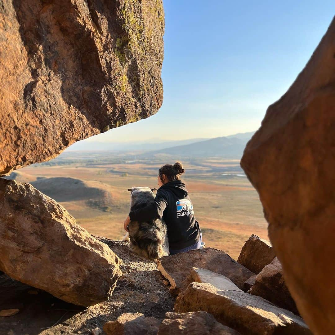 アレックス・パッチシオさんのインスタグラム写真 - (アレックス・パッチシオInstagram)「Always and Forever will you be my: - Best friend  - Supporter  - Calmer - Baby  - Mental Refuge  - Sidekick  - Adventure Partner  - Happy Place  - love Bug - Cuddly - FAMILY!!! ❤️ 🐶  . I can’t believe you just turned 8 the other day!  As I go through ALL the wonderful memories we share I look forward to MANY more! Having you has HELPED me in SO MANY ways that I would have never imagined!  You REALLY ARE one of the BIGGEST parts of my WORLD and I’m so lucky and thankful that you LOVE ME just as much I a LOVE YOU!!! ❤️🐶 . #puppylove #partner #partnerincrime #bestfriend #myheart #therapydog #serviceanimal」10月27日 1時42分 - alex_puccio89