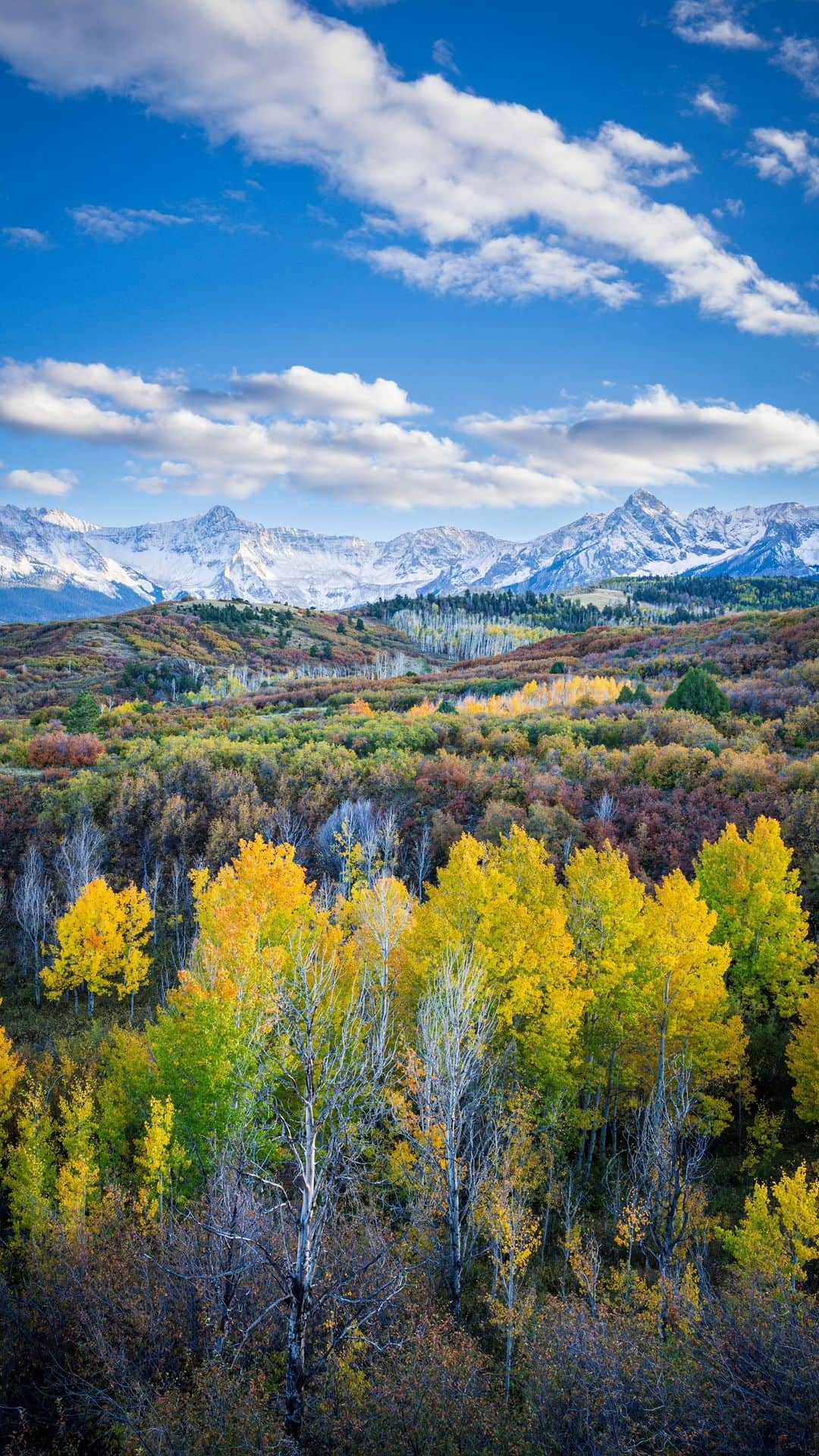 National Geographic Travelのインスタグラム：「Video by @jonathan_irish | Colorado is home to one of the most beautiful and vibrant displays of fall foliage in the entire country. Each year my anticipation builds as summer changes to fall and the weather starts to turn cold because I know that the aspen trees will soon become a blazing bright yellow. With snow-capped mountain peaks as the backdrop for this explosion of autumn color, the change of seasons here makes for a truly awe-inspiring view in almost every direction. This year, I traveled to Ouray, Colorado, to explore the backroads and grand vistas near this western mountain town. Situated in a river valley at nearly 8,000 feet (2,500 meters) of elevation, Ouray (pronounced “YOU-ray”) is surrounded by the San Juan Mountains and flanked by seemingly endless groves of aspen trees. It’s the perfect location for photographing fall foliage. Come along as I hike, explore, and photograph these dense groves of yellow and orange leaves with the big blue sky overhead. | The all-new 2024 Subaru Crosstrek Wilderness is designed for your biggest adventure yet. The newest vehicle to join the Subaru Wilderness Family is ready to help you explore off-road every season.」
