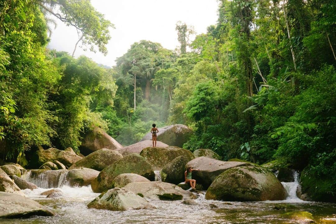 Airbnbのインスタグラム：「Explore the rainforest. Hammock included.  🏡 Design House in Rainforest 📍 Rio de Janeiro, Brazil」