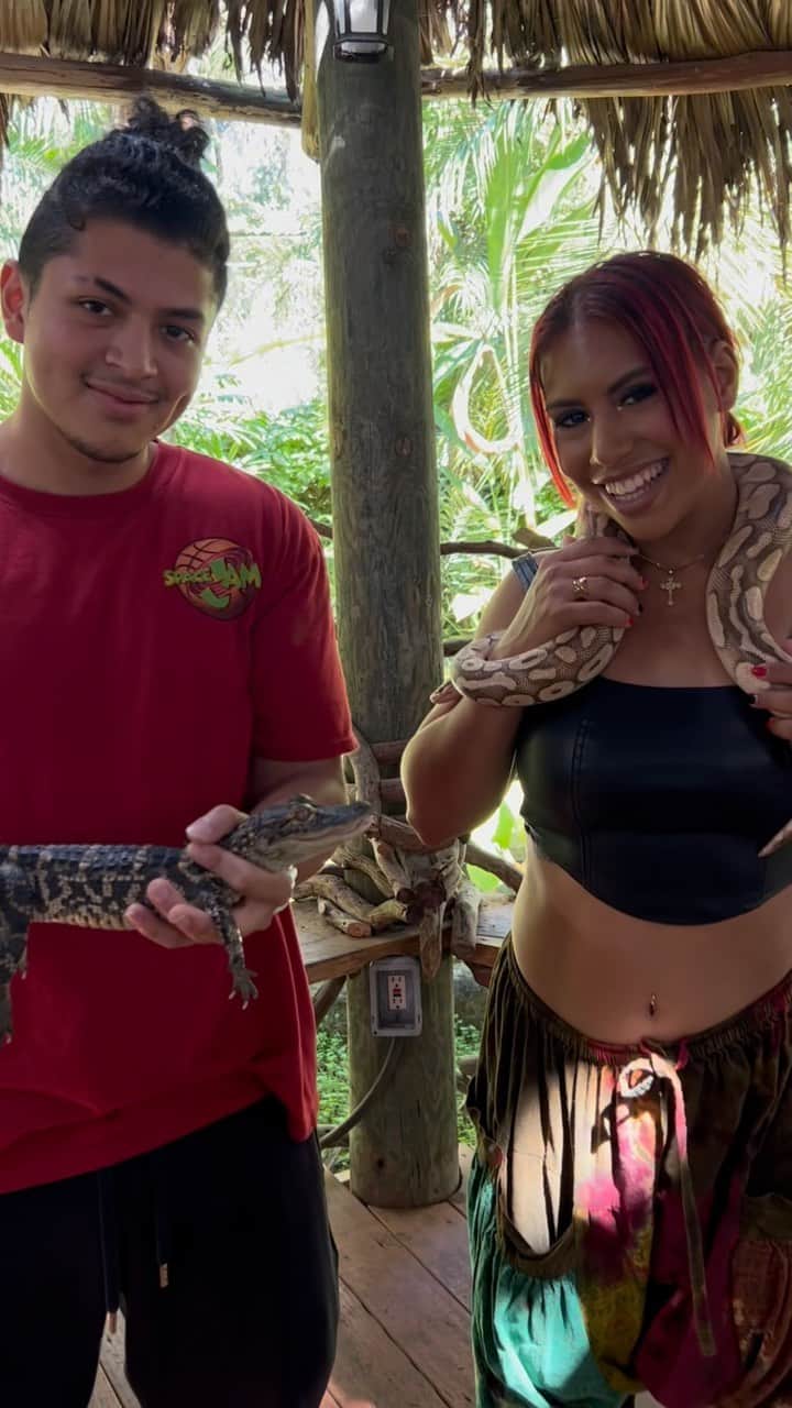 Zoological Wildlife Foundationのインスタグラム：「If you love animals as much as I do, I definitely invite you to come visit the @zwfmiami Foundation located in Homestead, FL where you will come across such beautiful creatures and have unforgettable encounters with❤️ Visit Now! Thank you for having us ✨  • • • • #reelsinstagram #reelsvideo #reelsviral #animals #explore  #exploremore #reels #reelsinstagram」