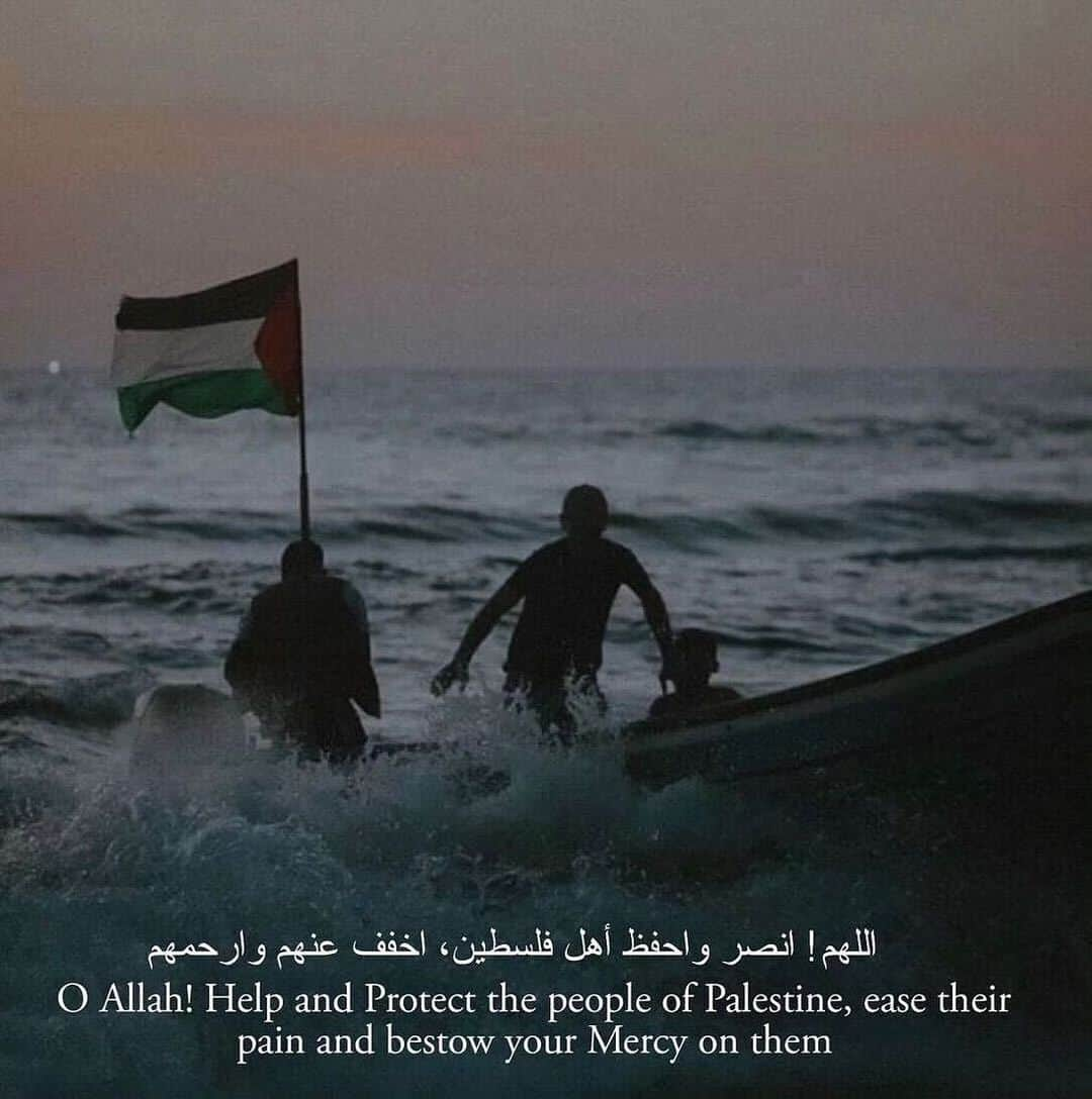 イマン・ハマンのインスタグラム：「My heart breaks for my brothers and sisters in Gaza and across the world who are displaced by this ongoing violence. I will continue to pray and fight for peace. And I will continue to share trusted resources, voices, and organizations on the ground who are working to give humanitarian aid.   [I’ve started a Broadcast Channel to aggregate all of the ways we can support - if it’s helpful, please join]❤️🇵🇸」