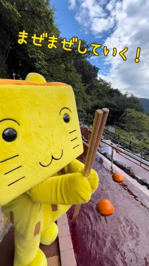 箱根小涌園 ユネッサンのインスタグラム：「* 一年中水着で遊べる箱根小涌園ユネッサン！ 旬な情報とお得情報を発信しているよ @yunessun_hakone * もうすぐ#ハロウィン ！ ボザッピィがお風呂をまぜまぜすると「あらっ、不思議!?」 お風呂の色がチェンジ！！ 妖しくも華やかな「トリート with トリック ハロウィンカボチャ風呂」は10/31（火）まで！ * ボザッピィ一同お待ちしております🎃✌︎  #箱根 #hakone #はこね #箱根旅行 #箱根旅 #はこね男子 #楽天トラベル #じゃらん遊び体験 #ファミリー #三愛水着楽園 #家族旅行 #家族風呂 #カップル #カップル旅行 #新婚旅行 #旅行 #旅ログ #カップル写真 #紅葉」