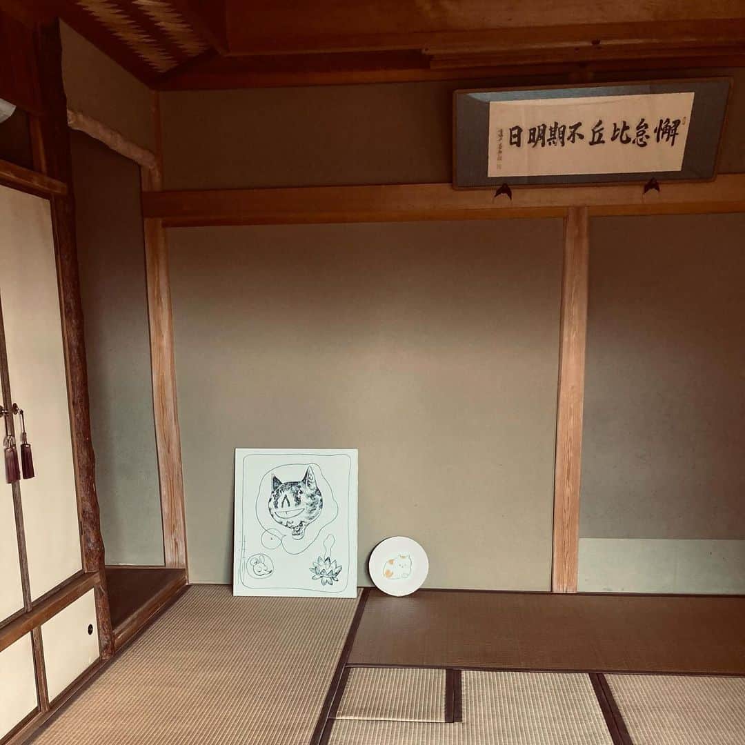 朝倉世界一さんのインスタグラム写真 - (朝倉世界一Instagram)「ネコとネズミの間とそこから見えるけしき #あうんてん」10月27日 13時00分 - askura1
