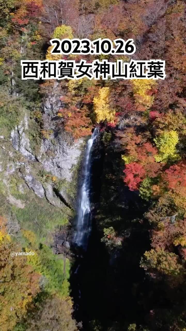 山人のグルメインスタ