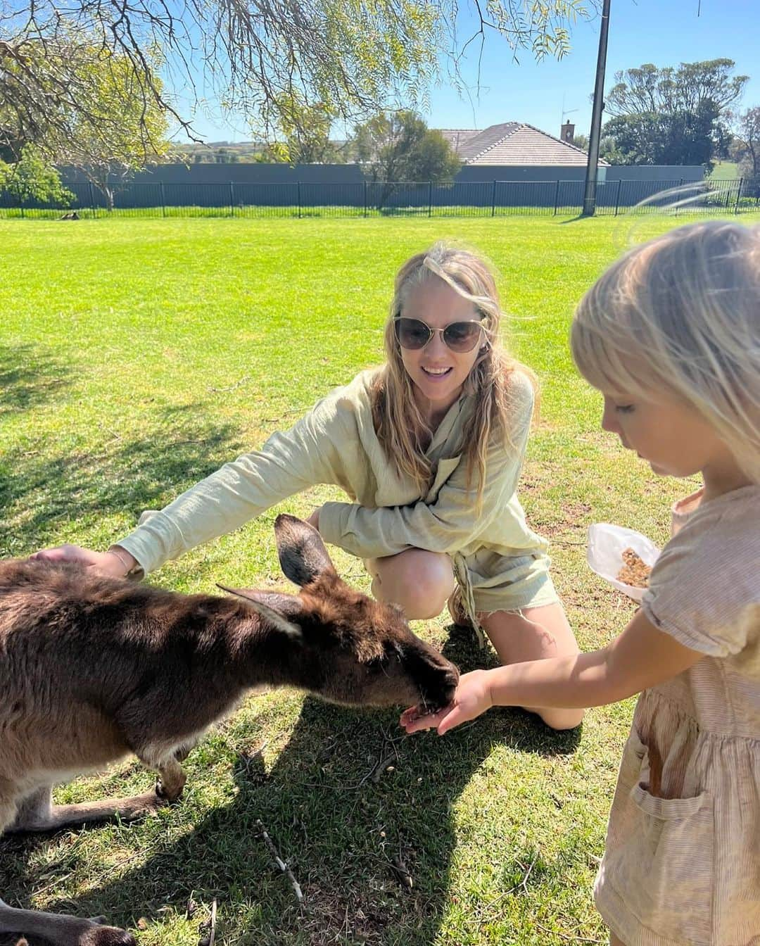 テリーサ・パーマーさんのインスタグラム写真 - (テリーサ・パーマーInstagram)「For the last ten days we’ve been on the road in an RV together as a family. We’ve been largely unplugged, it’s just been us and our conversations. It’s been the most present and deeply impactful time, which we have all been craving. The other day Bodhi reminded me of the “some kind of mystique” he experienced back in @southaustralia as he was under the water swimming with the sea lions (with the wonderful @calypsostarcharters). It’s those moments when nature really stops you in your tracks and words escape the feeling, the marvel. It’s truly healing, nature. ✨✨ I love sharing all the special hidden gems from my home state with people from all over the world. Sending love to everyone ❤️  P.s how WILD is that mating call koalas make? I’ve never seen it in person before! thanks to @auscoastsafaris for taking us to @mikkirastationkoalasanctuary for this up close and personal experience #seesouthaustralia #travelyourway」10月27日 13時22分 - teresapalmer