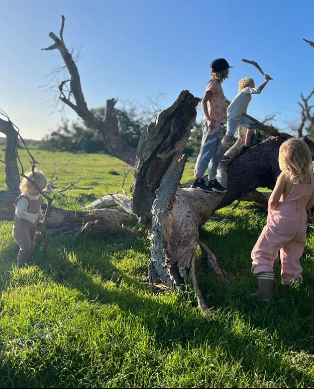 テリーサ・パーマーさんのインスタグラム写真 - (テリーサ・パーマーInstagram)「For the last ten days we’ve been on the road in an RV together as a family. We’ve been largely unplugged, it’s just been us and our conversations. It’s been the most present and deeply impactful time, which we have all been craving. The other day Bodhi reminded me of the “some kind of mystique” he experienced back in @southaustralia as he was under the water swimming with the sea lions (with the wonderful @calypsostarcharters). It’s those moments when nature really stops you in your tracks and words escape the feeling, the marvel. It’s truly healing, nature. ✨✨ I love sharing all the special hidden gems from my home state with people from all over the world. Sending love to everyone ❤️  P.s how WILD is that mating call koalas make? I’ve never seen it in person before! thanks to @auscoastsafaris for taking us to @mikkirastationkoalasanctuary for this up close and personal experience #seesouthaustralia #travelyourway」10月27日 13時22分 - teresapalmer