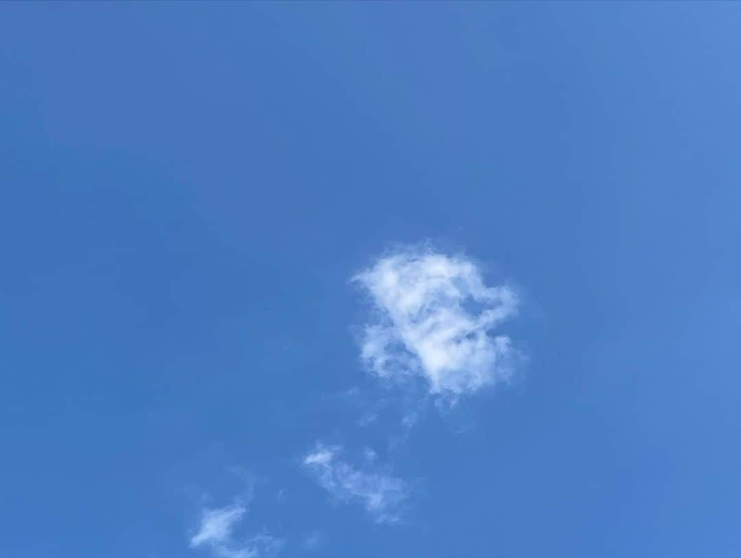 Soweluさんのインスタグラム写真 - (SoweluInstagram)「可愛い雲☁️ 一枚目♡ハートみたい  好きだな秋の空  どうか争いのない 憎しみのない 平和な世界に🙏  私たち一人一人が 持っている優しさ 人を思いやる心が 平和への道だと思う  今日も心穏やかに 小さな幸せがまわりにたくさん あるって感謝出来る あったかい1日になりますように 🕊  辛くなったり疲れたら 空を見上げよう  #nowar #worldpeace  #praying #bekindalways #🌏」10月27日 13時54分 - sowelu_