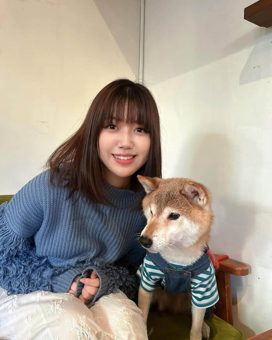 和泉芳怜さんのインスタグラム写真 - (和泉芳怜Instagram)「犬よ、存在してくれてありがとう 本当に可愛い」10月27日 13時57分 - izumi_karen_