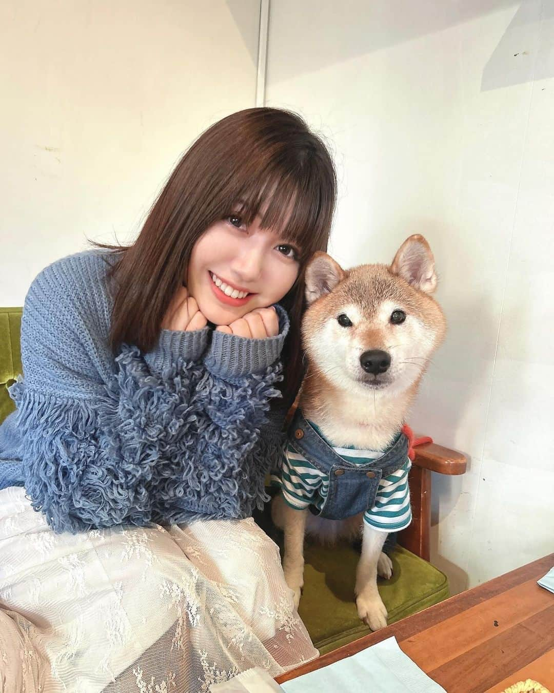 和泉芳怜のインスタグラム：「犬よ、存在してくれてありがとう 本当に可愛い」