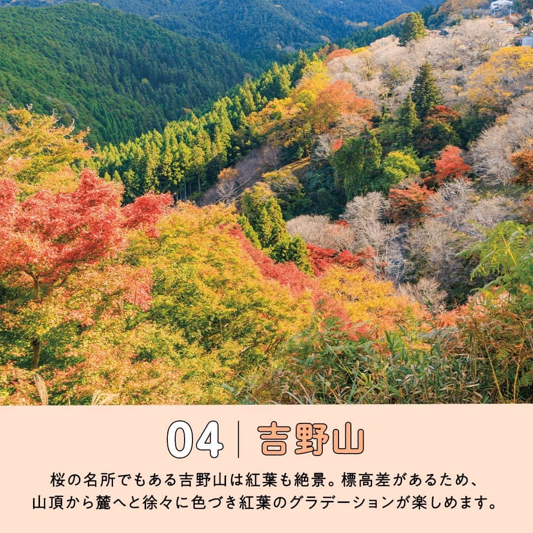 阪急交通社さんのインスタグラム写真 - (阪急交通社Instagram)「【奈良県のおすすめ紅葉スポット5選】  旅行会社社員が厳選の旅行情報をお届け！ 今回は奈良県のおすすめ紅葉スポットのご紹介です！  －－－－－－－－－－－－－－－  【談山神社】 大化改新談合の地と伝わり、 藤原鎌足を祭神とする神社⛩ 朱塗りの社殿や世界で唯一の十三重塔と 紅葉の組み合わせはとても圧巻です。 2023年11月18日(土)〜26日(日)の間は 紅葉の夜間ライトアップも行われます。  🍁紅葉の見頃：例年11月中旬〜12月上旬 📍アクセス：奈良県桜井市多武峰319  【長谷寺】 牡丹の名所として「花の御寺」として有名な長谷寺は 秋になると境内にある木々が紅葉をはじめ、 最盛期には山全体が赤く染まります。 約200ｍの屋根のある回廊、登廊を登る道中の 景色は絶景です✨  🍁紅葉の見頃：例年11月上旬〜12月中旬 📍アクセス：奈良県桜井市初瀬731-1 📷長谷寺のInstagram：@hase_dera  【奈良公園】 世界遺産・東大寺などを擁する歴史公園。 歴史ある古社寺と四季折々の自然、 群れ歩く鹿の景色はとても趣があります🦌 紅葉シーズンは桜やイチョウの木々が秋色に染まり、 園内も広いので各スポットで紅葉の様子も異なります。  🍁紅葉の見頃：例年10月下旬〜12月上旬 📍アクセス：奈良県奈良市春日野町他  【吉野山】 日本100名選にも入る桜の名所は 紅葉シーズンもおすすめ⛰ 春には3万本ある桜の木が満開になりますが、 秋にはその葉が赤く染まります。 標高差があるため、山頂から麓へと徐々に色づいていき 紅葉のグラデーションが楽しめます！  🍁紅葉の見頃：例年10月中旬〜11月下旬 📍アクセス：奈良県吉野郡吉野町  【天理市のイチョウ並木】 天理市内には数多くのイチョウの木があり 奈良県でも有数のイチョウの名所。 中でも天理市役所北側を東西に走る 「親里大路」のイチョウ並木は 秋になると黄金色に染まります✨ 2023年11月11日(土)と12日(日)は 歩行者天国となる時間帯がある予定です。  🍁紅葉の見頃：例年10月下旬〜11月下旬 📍アクセス：奈良県天理市三島町  －－－－－－－－－－－－－－－  奈良旅行の参考になりましたか？ 投稿が良いなと思ったら、いいね＆保存＆フォローをよろしくお願いします♪  ※内容は投稿日時時点の情報です。状況により変更となる可能性がございます。 ※過去に掲載した情報は、期限切れの場合がございます。  #奈良 #奈良県 #奈良旅行 #奈良観光 #紅葉 #談山神社 #長谷寺 #奈良長谷寺 #奈良公園 #鹿 #吉野 #吉野山 #天理のイチョウ並木 #イチョウ並木 #もみじ #秋 #紅葉狩り #紅葉 #🍁 #🦌 #紅葉ライトアップ #ライトアップ #神社 #国内旅行 #絶景 #旅行 #観光 #narapark #nara #japan」10月27日 14時00分 - hankyu_travel