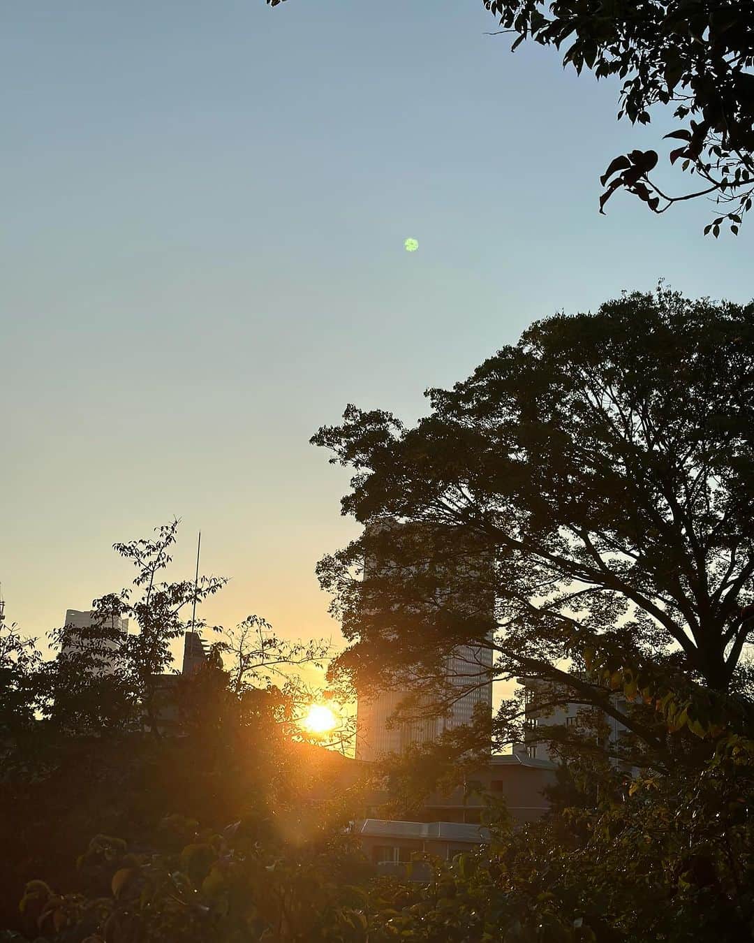 藤沢文翁さんのインスタグラム写真 - (藤沢文翁Instagram)「わかりにくいですが 太陽と月」10月27日 6時30分 - fujisawabun_o