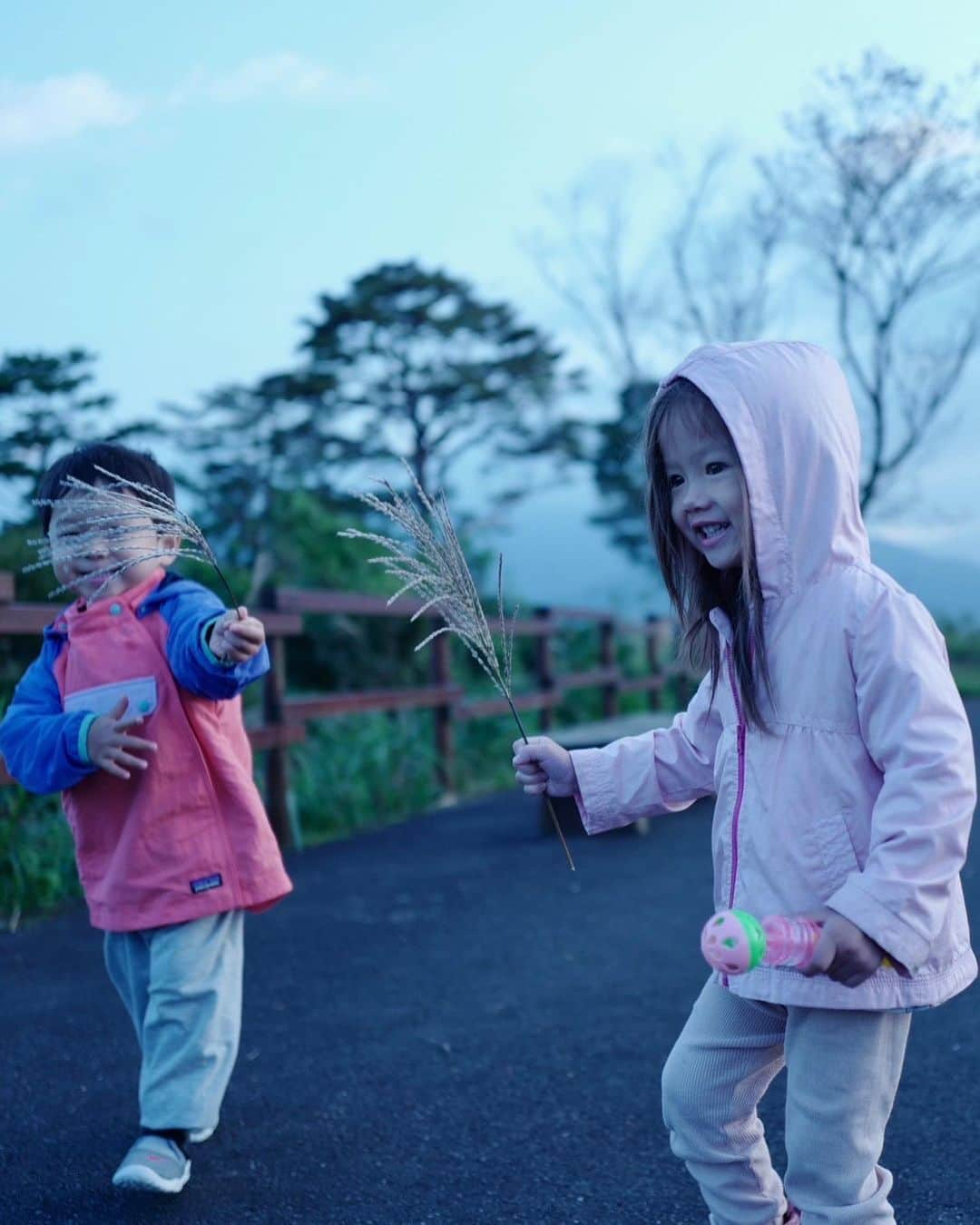 千葉アリサさんのインスタグラム写真 - (千葉アリサInstagram)「宮崎trip with しほ  @shiho_takechi  family🌴  新月だったこの日は、朝4時に起きて高千穂 #国見が丘へ。ここではいい塩梅に条件が重なると雲海からの日の出が拝める。（はじめて宮崎に訪れた時もこの時期で、素晴らしい絶景がみれた！）  雲海はみれずやったけど、澄んだ空気の中を　力強く昇っていく幻想的な朝陽をみることができました🌅  こういう景色に出会えると、いつもこんな神秘的な美しさを前にして　人は自然の中に八百万の神々の物語をみいだしたんやろなぁと。宮崎が日本書紀や古事記に縁のある地や神社が多くあり“神々の故郷”と呼ばれるのも　なるほどと感じます  丘を下り、#高千穂神社　へ参拝。空にまっすぐ伸びる木々が素晴らしく大好き🌳　  そして #高千穂峡→#南阿蘇 の大地のエネルギーを感じながらドライブ🚗  また来たかった湧き水スポット　#池の川水源 で休憩。水底でぷくぷく見えるほど透明度が高くて、まろやかで感動するおいしさやねん✨近所の方がかわるがわる水汲みにきていたよ☺️  ドライブもそこそこに　#垂玉温泉　で日帰り温泉に入っていっちょあがり🤍はい、最高。  子供も大人と大自然と遊び抱かれる 極上コースを堪能できました🌏  #宮崎days #大自然に抱かれる旅」10月27日 6時34分 - alyssamarianne