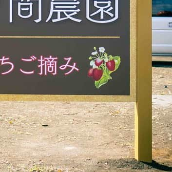 三ツ間卓也のインスタグラム：「🍓  念願の✨三ツ間農園看板完成✨！  三ツ間農園の文字の立体化🧑‍🌾  なんと言ってもパネル上のオブジェ🍓  皆さんここで写真撮って📸  バンバンSNSあげてください🙇  📸カメラマン@toshiyuki0710  #三ツ間農園#横浜いちご#いちご狩り#白いちご#ピンクいちご#元プロ野球選手#中日ドラゴンズ#逃走中#代打三ツ間#딸기#草莓#fresa#少年野球#高校野球##大学野球#社会人野球」