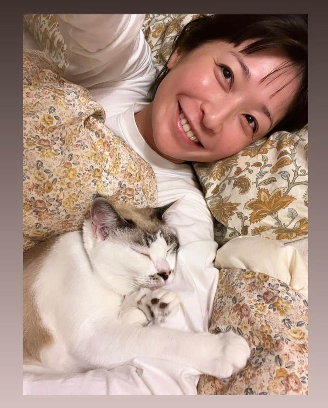 小野真弓さんのインスタグラム写真 - (小野真弓Instagram)「おはにゃーん☺️🐾 今日もべったり、ナナちゃんにゃ😆🎀  いつでもどこでも、にゃあにゃあお喋り🥺 寝ても覚めても おかーさんの腕枕が定位置にゃ🐯🩷  秋晴れ☀️ 今日も良い一日を☺️🍀  #犬と猫のいる暮らし#犬猫日記 #ハナちゃん#ハルくん#アオくん#ナナちゃん#くーちゃん  #家族募集猫 #さかがみ家#白猫#マリちゃん#本日19時#見てね  💇‍♀️ おかーさんは久しぶりに美容室へ☺️ 何十年ぶりかに 顔周りに、ちょこっとレイヤー入れてもらいました✂️ 気分転換😆」10月27日 7時45分 - hanaharuaroi