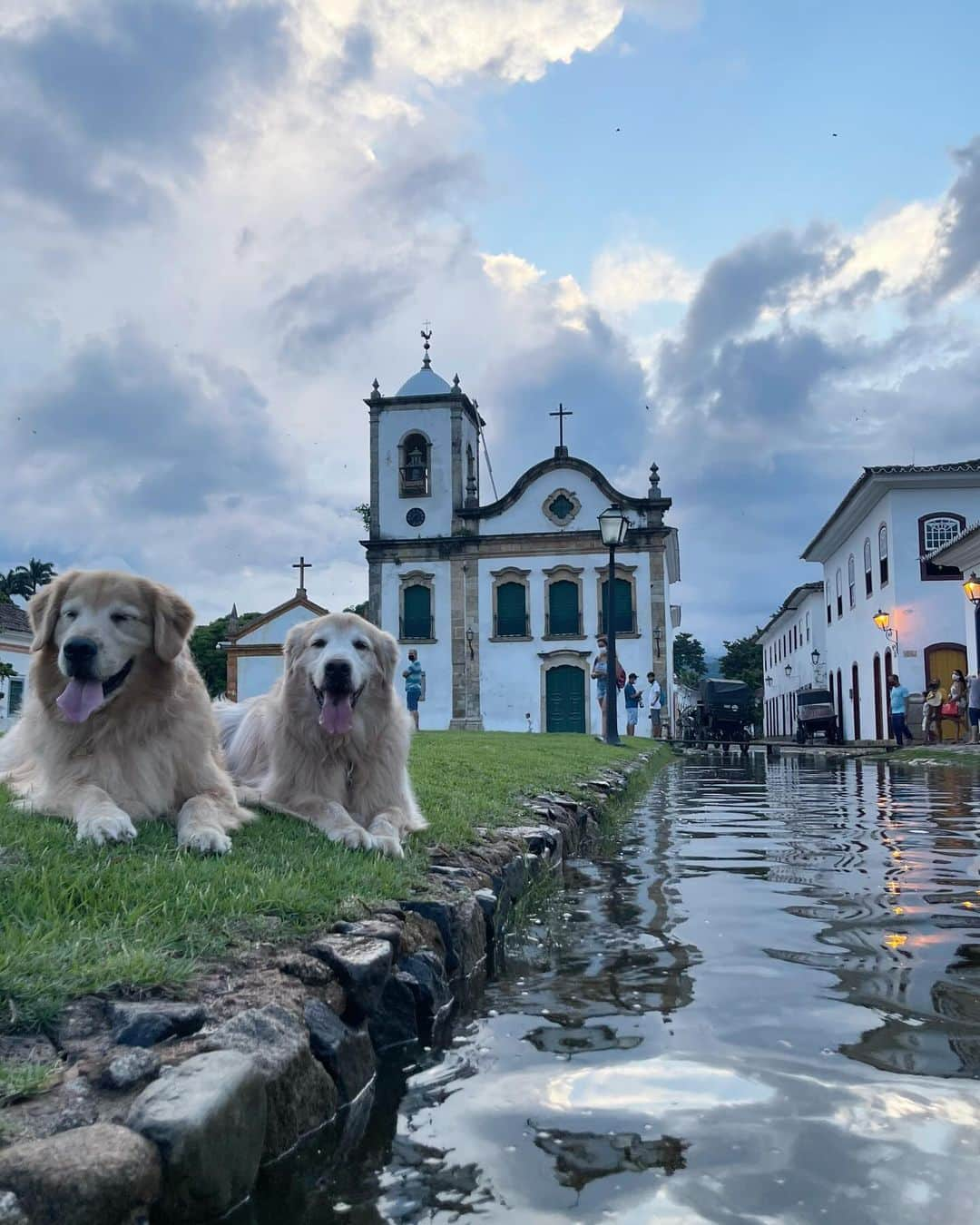 Bobさんのインスタグラム写真 - (BobInstagram)「E hoje é dia de TBT e vamos falar de um dos destinos que mais gostamos! Paraty - RJ  A @pousada_pontal_gardens é um charme, fica pertinho do centro histórico e com eles é possível agendar passeios pela cidade e o melhor, passeio de barco! Visitando praias paradisíacas 🏖️ Nos destaques vocês encontram mais de como foi nossa hospedagem e dicas da cidade, incluindo os passeios e gastronomia .  #ExpediçõesOlaPet  . 📍Paraty-RJ @pousada_pontal_gardens  . Realização: @olapet.friendly  . Apoio: @elancopetsbr  @avertsaudeanimal」10月27日 8時16分 - bob_marley_goldenretriever