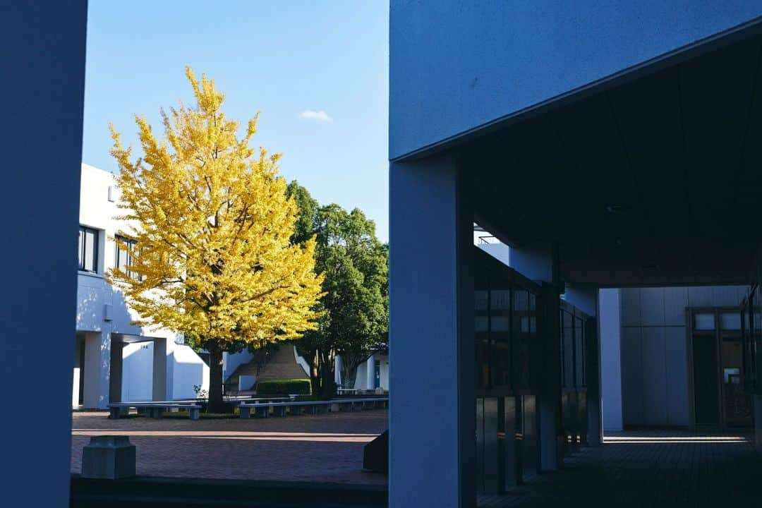 Meiji Gakuin/明治学院大学/明学さんのインスタグラム写真 - (Meiji Gakuin/明治学院大学/明学Instagram)「秋晴れの横浜キャンパス🍂  晴れている日は空気が本当に気持ち良い横浜キャンパス🌥️ 景色もすっかり秋らしくになってきましたね。  今日もお疲れ様でした☺️  #明治学院大学 #横浜キャンパス #横浜 #戸塚 #明学 #明治学院 #秋学期 #秋学期もがんばろう #秋 #空 #明学人 #勉強 #大学 #授業 #明学生 #メイガク #明学ライフ #大学生活 #meijigakuinuniversity #meijigakuin #meigaku #mgu #photography #photographer」10月27日 15時00分 - mguniv