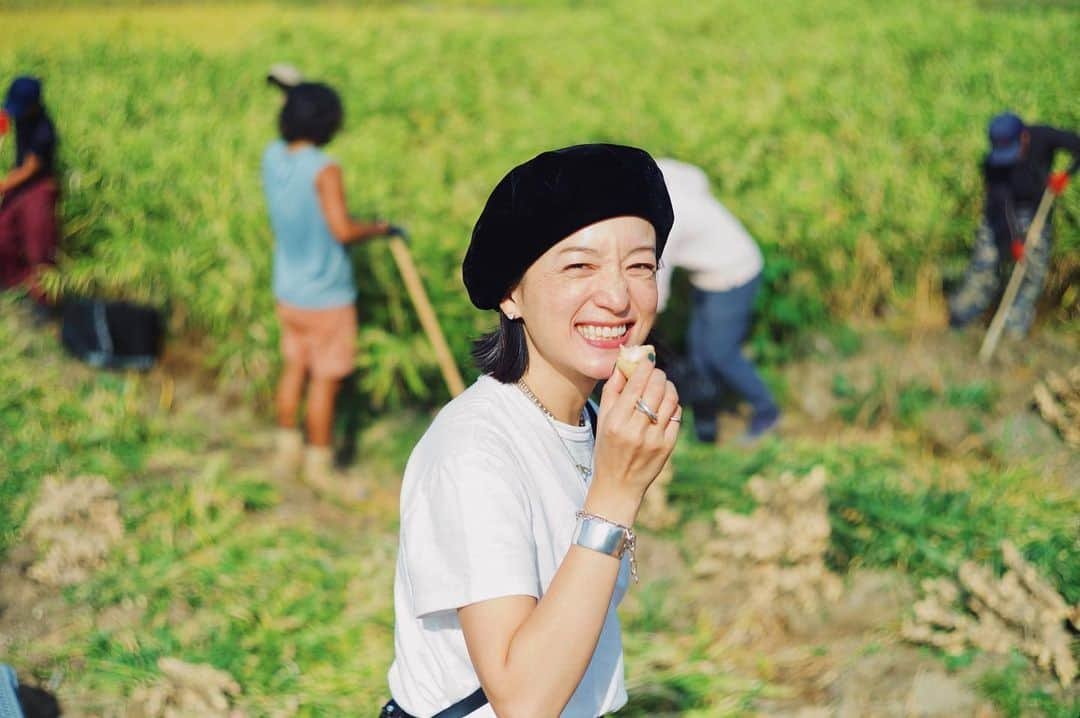 高山都さんのインスタグラム写真 - (高山都Instagram)「高知といえば生姜🫚 友達の友達に会いに、いの町では、数日前から収穫が始まったそうで、生姜掘りの見学に行きました。 @karimacha37 ありがとうございました！ いつも食材として見たり食べたりしてたけど、こんなふうに土で育って掘られて切られて出荷されるんですね。 かなりの重労働です😤 掘りたての生姜の土をはらって齧らせてもらったら、ジューシーでじんわり辛くて美味しい。 フレッシュな生姜ってこんなにも爽やかな辛さ(美味しくて齧り続けてた)なのですね。 お土産にいただいたので、どうやって食べようかワクワクだ。 #高知 #生姜 #安井家と高知」10月27日 9時33分 - miyare38