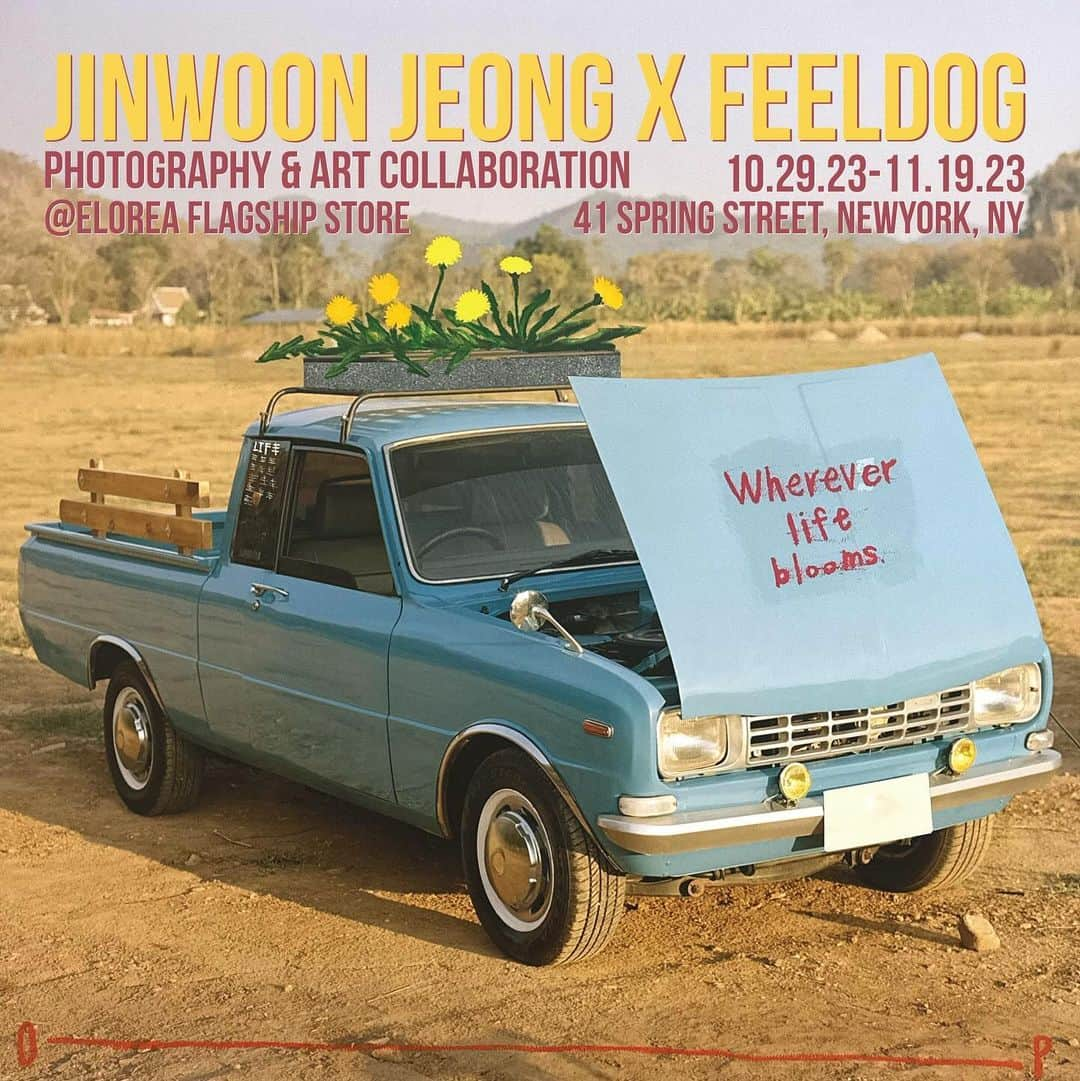 フィールドッグさんのインスタグラム写真 - (フィールドッグInstagram)「Jinwoon jeong x Feeldog  Photography x art collaboration Exhibition in NY  < wherever life blooms >  The fervent energy of all that lives and its dance of hope.  With a heart that aspires to bloom warmly, wherever we may roam.  A lone dandelion sprouting amid the cold cracks of concrete,  It mirrors us, resilient, in the face of reality.  Whether blooming in solitude or as a collective, bestowing hope with its mere presence.  Hoping for our own dandelions to sprout where we stand,  We narrate the story of life and its unfolding journey.  Feeldog x jeong jinwoon  Period |  2023/10/28(sat) vip open time 20pm-22pm  •Opening night and VIP preview is on 10/28. Due to limited space and safety reasons, admission is by invitation only.   •Open to public starting 10/29-11/19, time 12-7pm daily  Place |   41 Spring St.  New York, NY 10012  @elorea」10月27日 9時49分 - fxxldoggssy