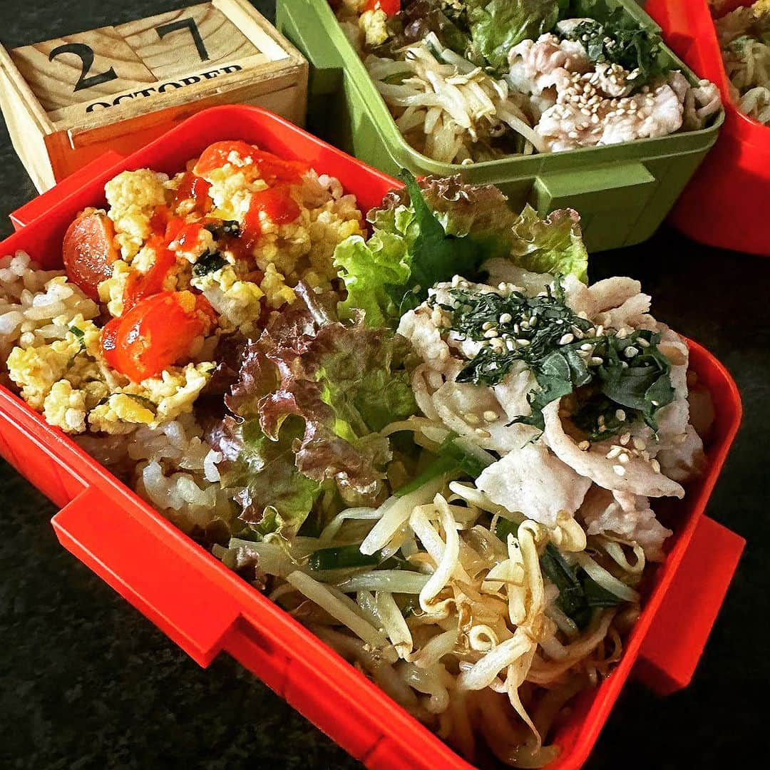 岡本安代のインスタグラム：「【作り置き冷凍弁当】 いよいよ長崎へ。 本番は明後日。舞台に立たせて頂ける感謝を胸に、 理解して応援してくれる家族に感謝を込めて。 掃除洗濯も思い残すことなく頑張りました！☜ココ重要！ お弁当は作って冷凍保存できるというYouTubeを見て、初めて挑戦してみました。 美味しく食べてもらえますように。 冷蔵庫にあるものクリーンナップ大作戦。 基本的に冷凍用は解凍ムラがないよう単一メニュー。 いざ、行ってきます！ パパ、子どもたち、ありがとう。 母ちゃん、頑張って参ります！  #シーボルト父子伝2023  http://confetti-web.com/siebold_2023tokyo #走り続ける岡本家 #５人の子育てママウンサー  #岡本安代 #女優への道」