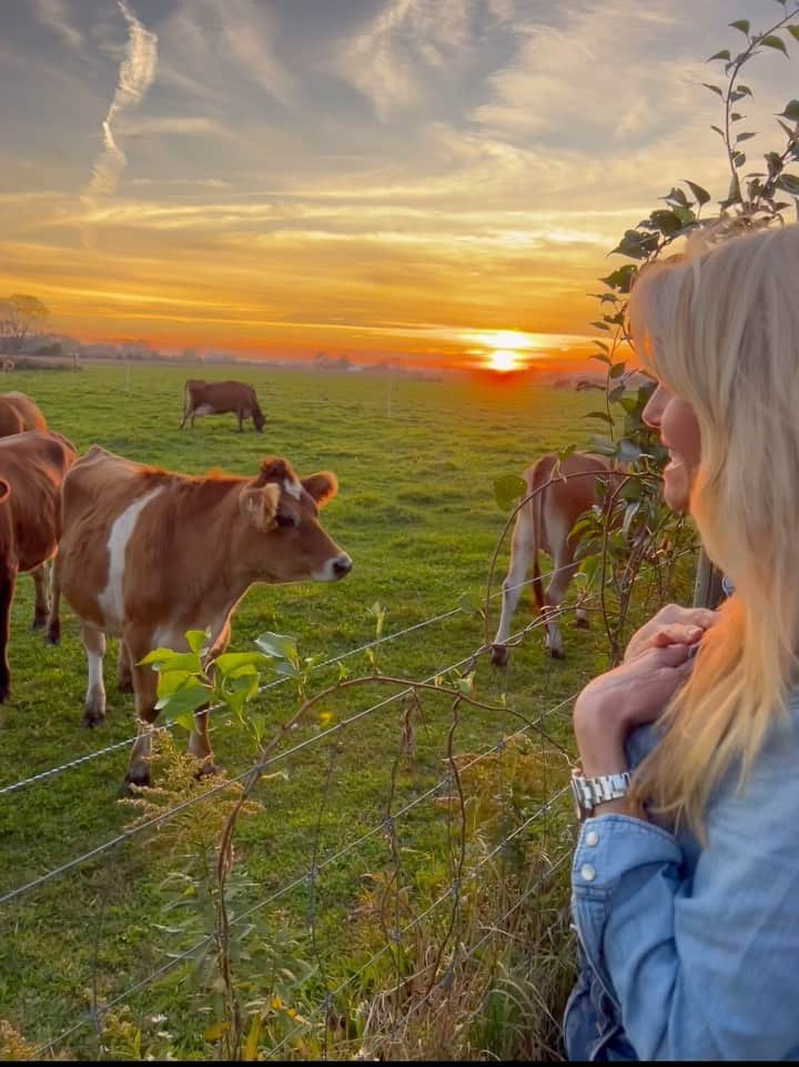 クリスティ・ブリンクリーのインスタグラム：「Well now I’m one of those people who sings to Cows on Instagram and I loved it! 💛🧡 ( hope the Cows did too)」