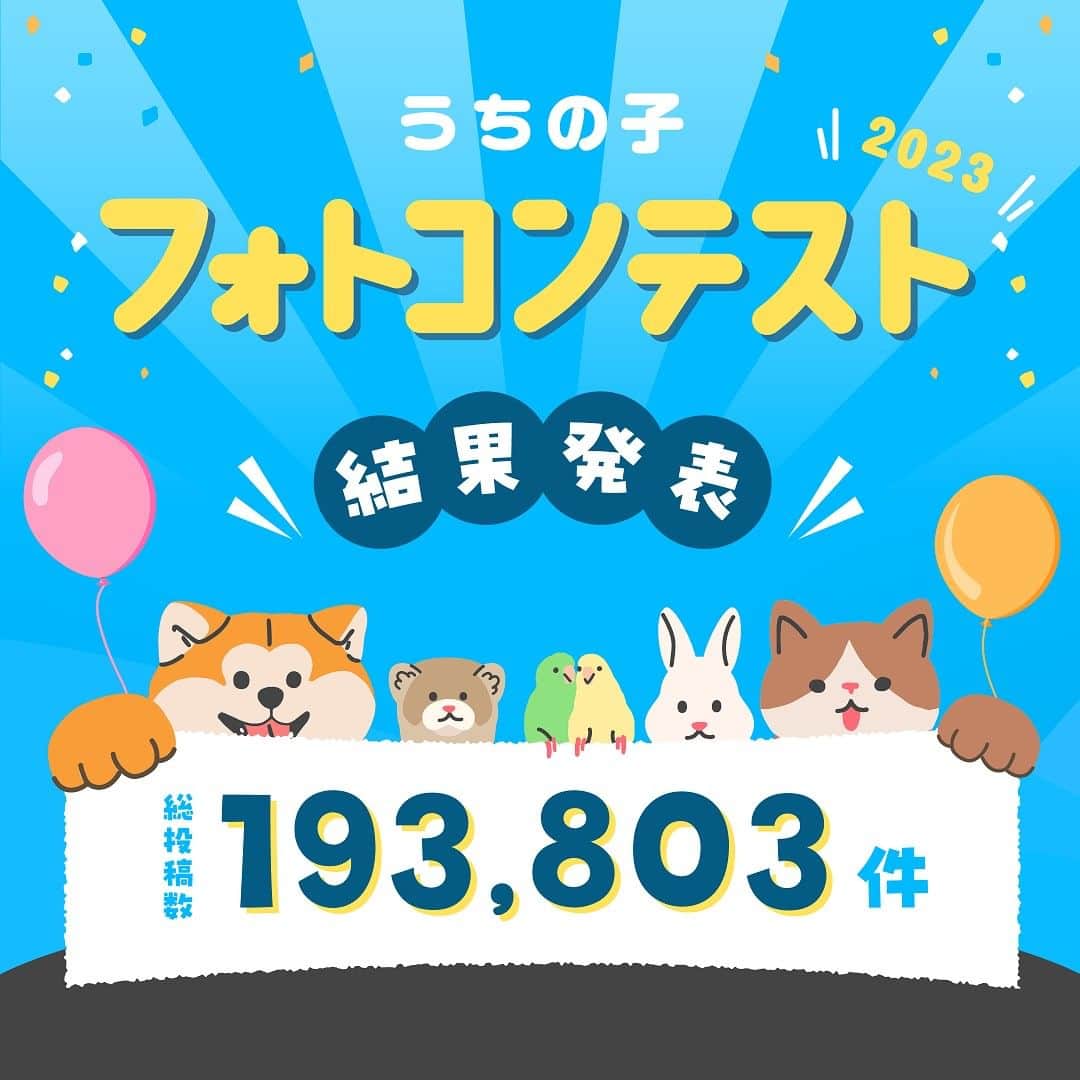 のインスタグラム：「＼結果発表／ ＃うちの子フォトコンテスト2023  大好評のうちに幕を閉じたフォトコンテスト✨ 総投稿数はなんと！過去最高の193,803件となりました👏  改めて、お写真を投稿してくださったみなさま、投稿を見に来てくださったみなさま、本当にありがとうございました！  数多くの作品の中から、入賞作品に選ばれた「うちの子」は・・・！？  結果発表はストーリーズから♡ @ipet__ins  【うちの子フォトコンテスト2023】  https://www.ipetclub.jp/fun/calendar/2023/result #うちの子フォトコンテスト2023　#アイペット　#ipet　 #ふわもこ部　 #わんすたぐらむ　 #にゃんすたぐらむ #エキゾチックアニマル　 #爬虫類のいる生活」