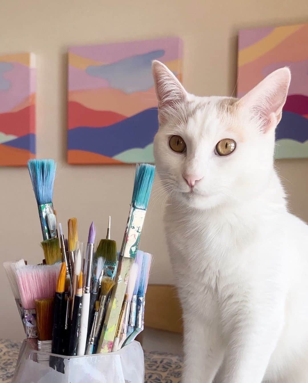 フランセス・スィーヒのインスタグラム：「My purrrfect assistant 🐾   #lifewithcats #homestudio #wip」