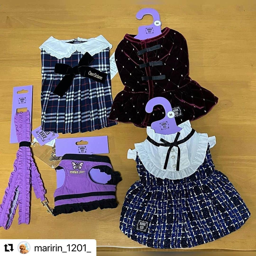 Caluluさんのインスタグラム写真 - (CaluluInstagram)「ANNA  SUIのバタフライ刺繍フリルハーネスを付けてくださいました🦋  とっても可愛いです💜  ハーネスだけでオシャレなスタイリングができますよね♪  そして他にもたくさんありがとうございます👗  ぜひ沢山着て、お出かけ楽しんでくださいね🐶  #Repost @maririn_1201_ with @use.repost ・・・ caluluで買ったANNA SUIとOneOctaveの洋服とハーネス、リードが届いたよ♡  早速ハーネスとリードつけてお散歩した🥰 まりんちゃんも嬉しそうだったよ😊  お洋服もめっちゃ可愛くてもっと色んなと買えばよかったな😂 今週末にまた軽井沢行く予定だから、その時に着ていきたいね🫶  #犬 #いぬすたぐらむ#ふわもこ部 #犬のいる暮らし #愛犬 #わんこ #いぬ #犬好きな人と繋がりたい #犬のいる生活 #いぬバカ部 #トイプードル #プードル #dog #puppy #dogstagram #instadog #dogsofinsta #いぬのきもち #멍스타그램 #개스타그램 #토입뿌드르 #といぷーどる #トイプー #toypoodle  #annasui  #oneoctave  #calulu  #calulu_dogwear  #annasuidog」10月27日 11時56分 - calulu_dogwear