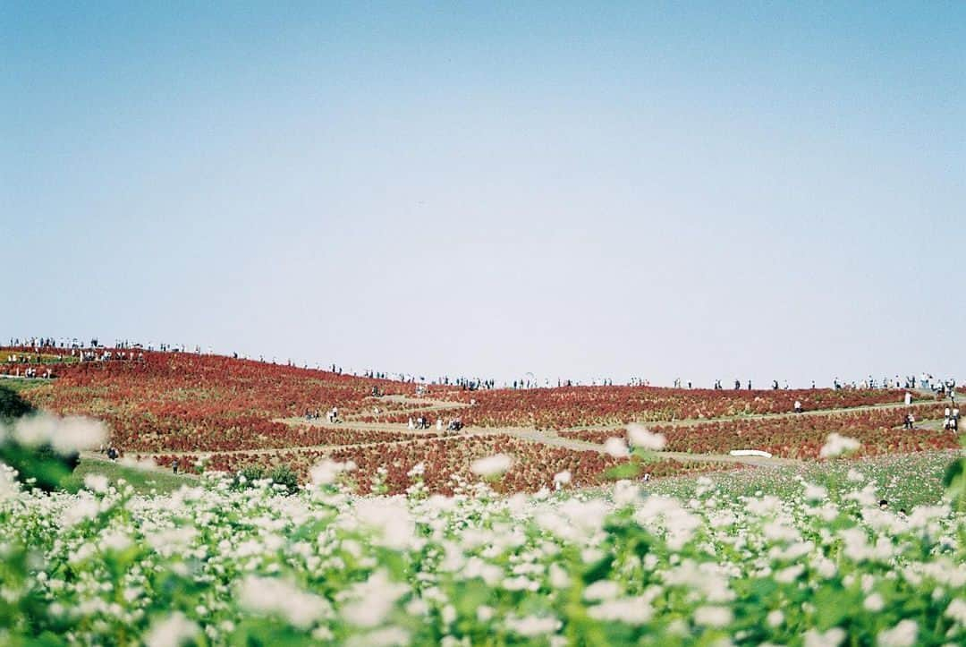 RECOのインスタグラム：「. Pickup #reco_ig by @tmhr626_film  ——————————————————— Information https://xico.media/news/reco-selection/ ——————————————————— produced by @wearexico」