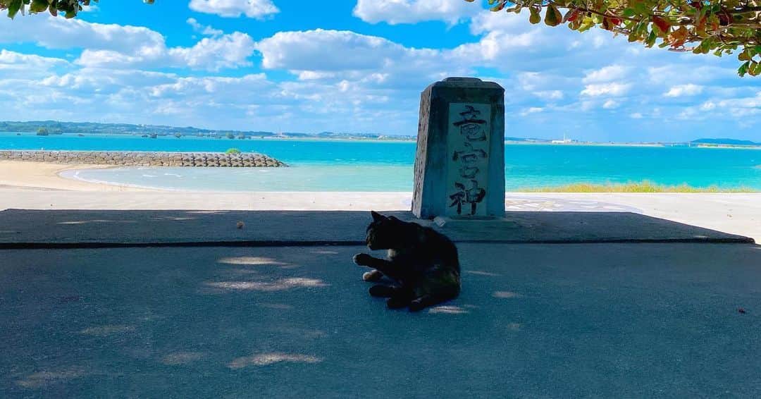 砂月のインスタグラム：「【流れを掴む】  時々でいいからこの世界の全てを 論理で捉えるのではなく、流れ。 つまり「波」で捉えてみる。  なんだか 良い流れだな。  とか  なんだか 最近流れが悪いな。  とか。  何もかもを 論理で当てはめようとするのではなくて たまには感覚的に捉えてみる。  なんとなく この場所好きだな。  とか。  なんとなく この人といると楽しいな。  とかね。  実はこの 「なんだかよくわからないけど」 という感覚はとても大切。  世界の全てを なんでもかんでも 論理に当てはめ  枠（フレーム）に無理やり定義するから 無理が色々と生じていくる。  そのフレームに限界が来て パンクして行き詰まる。  これまでの学校教育の テストやなんかで 物事には「必ず答えがある」 と幼少期から刷り込まれているけど  もうみんな気づいてると思うけど 実際の世界は 「答えがない」ものばかり。  そして意外にも 「目に見えないもの」が多い。  だから 「なんだかよくわからないけど」 きっと存在している波。 （エネルギー的なものとも言える）  良い流れや 良いムード 高い波動。低い波動。  これを 感じる精度が上がっていくと  成功への チャンスを掴みやすくなる。  この感覚を磨いていると チャンスは 意外と色々なポイントに転がっていると気付く。  今日もこの世界の成長を笑顔で楽しもう。 そうすればきっと良い1日になっていく。  なんだかよくわからないけどね。  なんかそういう気がする。笑。」