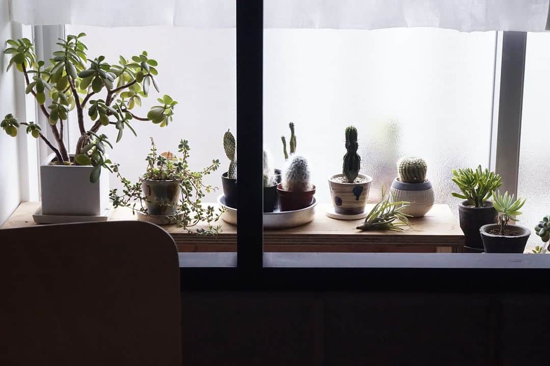 ムクリ［mukuri］さんのインスタグラム写真 - (ムクリ［mukuri］Instagram)「空間にアクセントと彩りをプラスするインナーテラス  室内にありながら 屋外の雰囲気も楽しむことが できるインナーテラス。  ご夫婦共通の趣味である “グリーンのある暮らし”を実現すべく、 リノベーション時には水に強い床材を採用し、 気兼ねなく思いっきり大好きな植物たちを 愛でる場所をつくり上げたいがりこさん。  ブロックでリビングとの空間を ゆるく区切ることで程よいアクセントが生まれ、 ハンギングで目線の高さに植物を持ってきたり、 箱型の収納を使って植物を魅せるディスプレイをしたり、 まるでショップのような 空間づくりがとっても素敵です。   日々の生活で、 お気に入りのものが目に入るだけでも ちょっと嬉しくなりますよね♪   お家時間を楽しむための趣味のある暮らしを より快適にしてくれるインナーテラスの活用術、 ぜひ参考にしてみてください。   –––––––––––––––––– ムクリ公式アカウントでは くらしの中にある"好き"や"コダワリ"を毎日お届け。  インテリア、整理収納から家づくりなど 日常で参考になる情報から サラッと読める短編コラムまで ご紹介していますのでフォローしてぜひご覧ください。 ▶︎ @mukuri_official ・  「 #ムクリ 」のタグもいつも楽しく拝見しています☺️  オリジナルブランドは @daily_mukuri  くらしの中にあったらいいいな、 そんな商品を企画・制作、集めています。 ––––––––––––––––––  #テラス#インナーテラス#リノベーション #マンションリノベーション #リノベ #renovatio #中古マンション #リフォーム#無印良品#北欧インテリア#シンプルインテリア#ナチュラルインテリア #マンションインテリア#キッチン#マイホーム #myhome #マイホーム計画 #家づくり#暮らしを楽しむ #マンション暮らし #賃貸暮らし#シンプルな暮らし #くらしの編集 #ムクリ」10月27日 12時05分 - mukuri_official