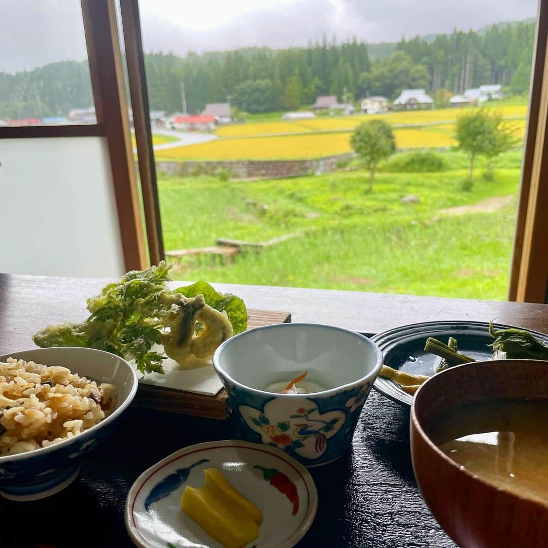 小野田紀美のインスタグラム：「うたたねの里いっぷく亭  春にもインスタでご紹介した鏡野町の農村レストランのご紹介です🌿(5月5日投稿) 茅葺き屋根のお店の中には囲炉裏もあり、 日本昔ばなしの世界に迷い込んだようでワクワクします☺️ 地元のお母さんたちの"おふくろの味"、採れたての山菜の天ぷらはサックサク✨ お店の雰囲気と美味しい空気も含めてすべてがご馳走です😋 12月から4月半ばまでは休業となるそうです。 ぜひ皆様この気持ちの良い季節に訪れてみてください‼︎ (事務所スタッフM) #岡山県 #苫田郡 #鏡野町 #うたたねの里 #いっぷく亭 #自民党 #参議院 #小野田紀美 #小野田きみ #おのだきみ #日本を守り抜く #約束」