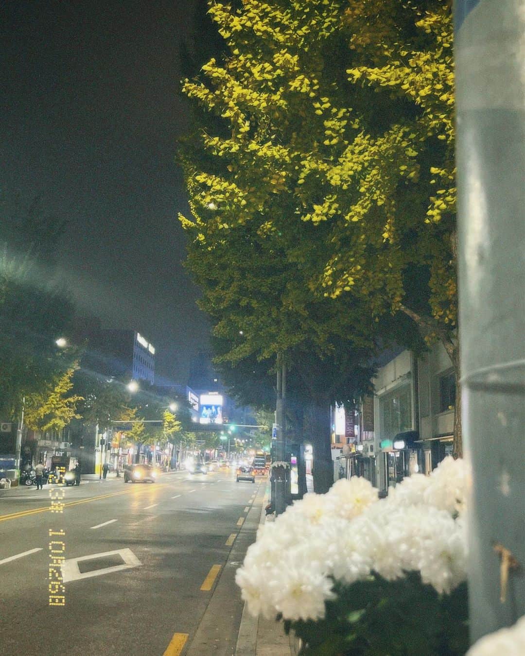 ゴニル（GEONIL）さんのインスタグラム写真 - (ゴニル（GEONIL）Instagram)「2023년 가을」10月27日 12時33分 - ggeeoonnil