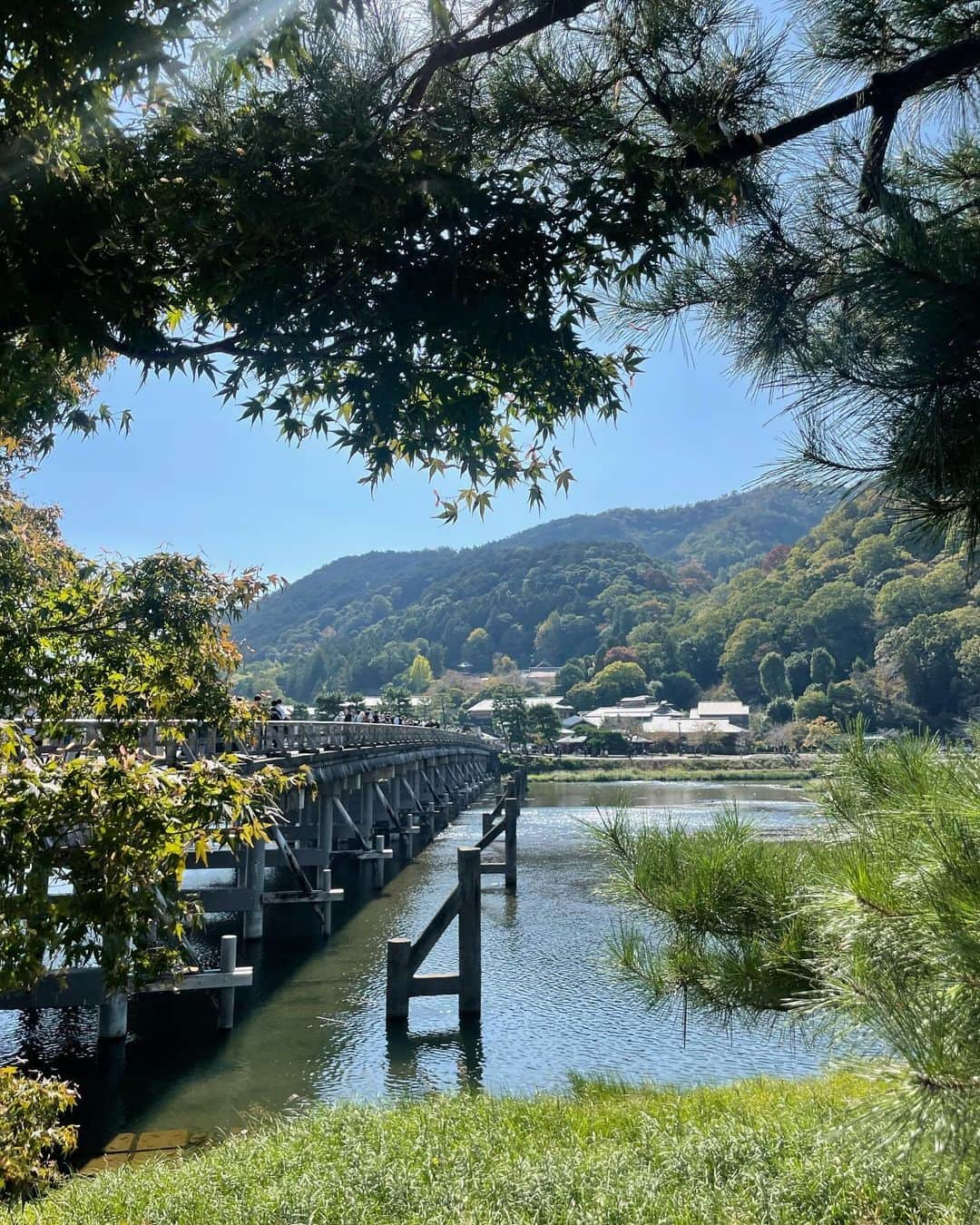 美南レイラさんのインスタグラム写真 - (美南レイラInstagram)「KYOTO trip🍁⛩️  #京都#kyoto」10月27日 23時35分 - reyla__25