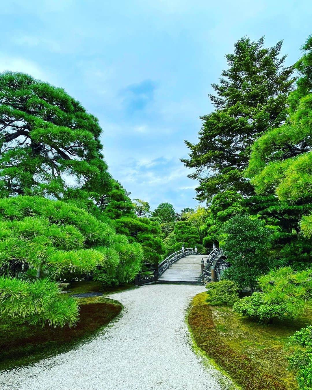 ひぐちしょうこさんのインスタグラム写真 - (ひぐちしょうこInstagram)「京都旅　4日目。 この日は天気予報は雨☔️だったので、無理のない行程に。 ホテルでゆっくり朝食をいただいてから出発。お昼は評判の良いお蕎麦屋さんへ。  晴明神社に行こうと今出川駅で地下鉄を降りると、目の前に京都御所が。とっても行きたくなってしまい、予定変更で京都御所へ。  京都御所、初めて訪れたのですが素晴らしかったです。紫宸殿は波動が高いと聞いていたのですが、まさにその通りでした。  雨の予報だったのに、運良く曇り空で助かりました。京都御所を出る頃に日が射してきて、綺麗〜と思ったら今度は急に雨が☔️ すると、なんと虹が出て🌈(写真1枚目) 素敵〜✨✨✨ 綺麗な景色を見せてもらって感謝です❤️  その後の夕方は土砂降りだったのですが、美味しい珈琲屋さんでまったりして、良い時間を過ごしました。琥珀の女王、美味しかった😊  #temple  #shrine #神社#japan #japan_art_photography  #japantravel #travel #お寺 #お寺巡り #京都 #旅行」10月27日 22時38分 - higuchishoko