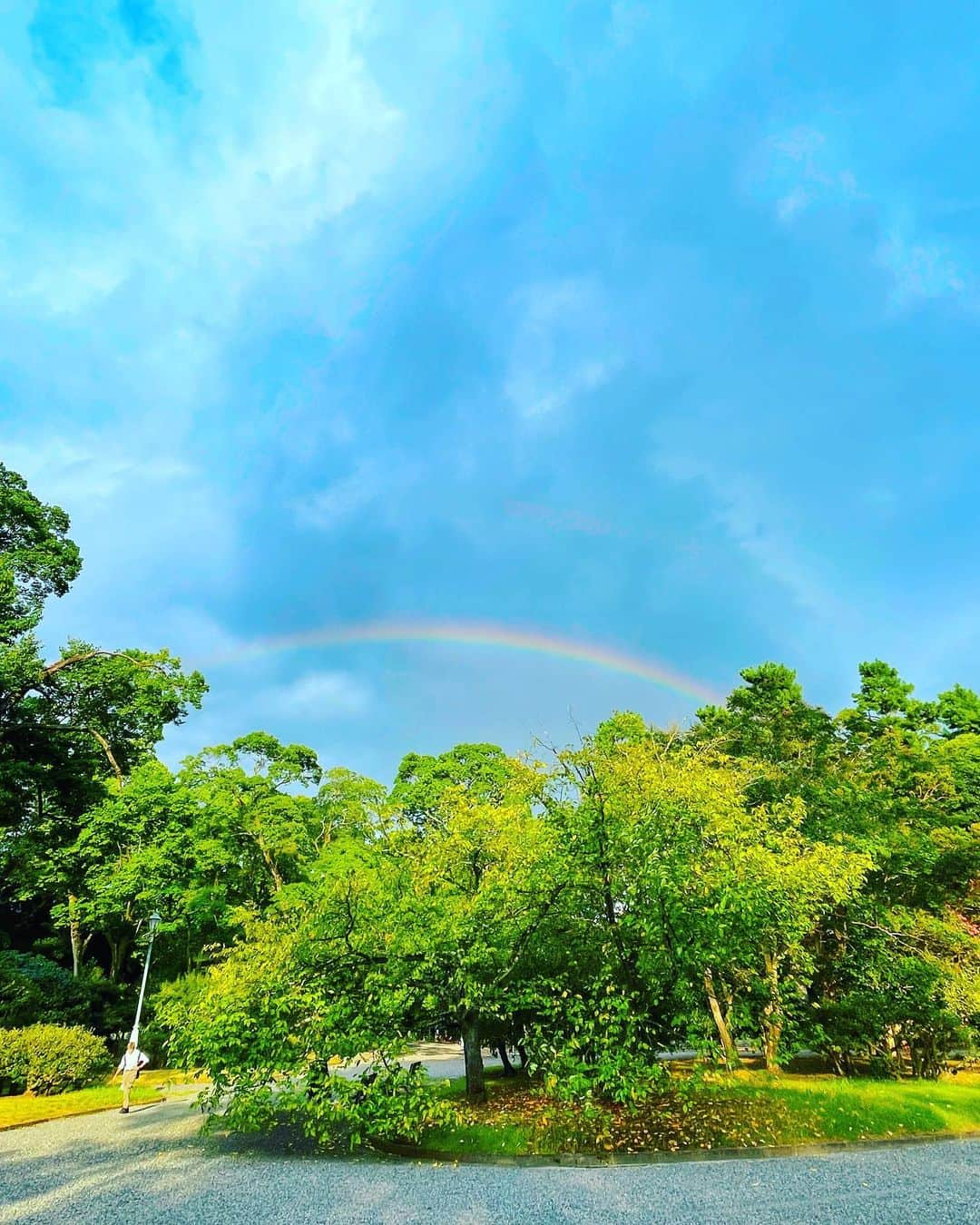 ひぐちしょうこのインスタグラム：「京都旅　4日目。 この日は天気予報は雨☔️だったので、無理のない行程に。 ホテルでゆっくり朝食をいただいてから出発。お昼は評判の良いお蕎麦屋さんへ。  晴明神社に行こうと今出川駅で地下鉄を降りると、目の前に京都御所が。とっても行きたくなってしまい、予定変更で京都御所へ。  京都御所、初めて訪れたのですが素晴らしかったです。紫宸殿は波動が高いと聞いていたのですが、まさにその通りでした。  雨の予報だったのに、運良く曇り空で助かりました。京都御所を出る頃に日が射してきて、綺麗〜と思ったら今度は急に雨が☔️ すると、なんと虹が出て🌈(写真1枚目) 素敵〜✨✨✨ 綺麗な景色を見せてもらって感謝です❤️  その後の夕方は土砂降りだったのですが、美味しい珈琲屋さんでまったりして、良い時間を過ごしました。琥珀の女王、美味しかった😊  #temple  #shrine #神社#japan #japan_art_photography  #japantravel #travel #お寺 #お寺巡り #京都 #旅行」