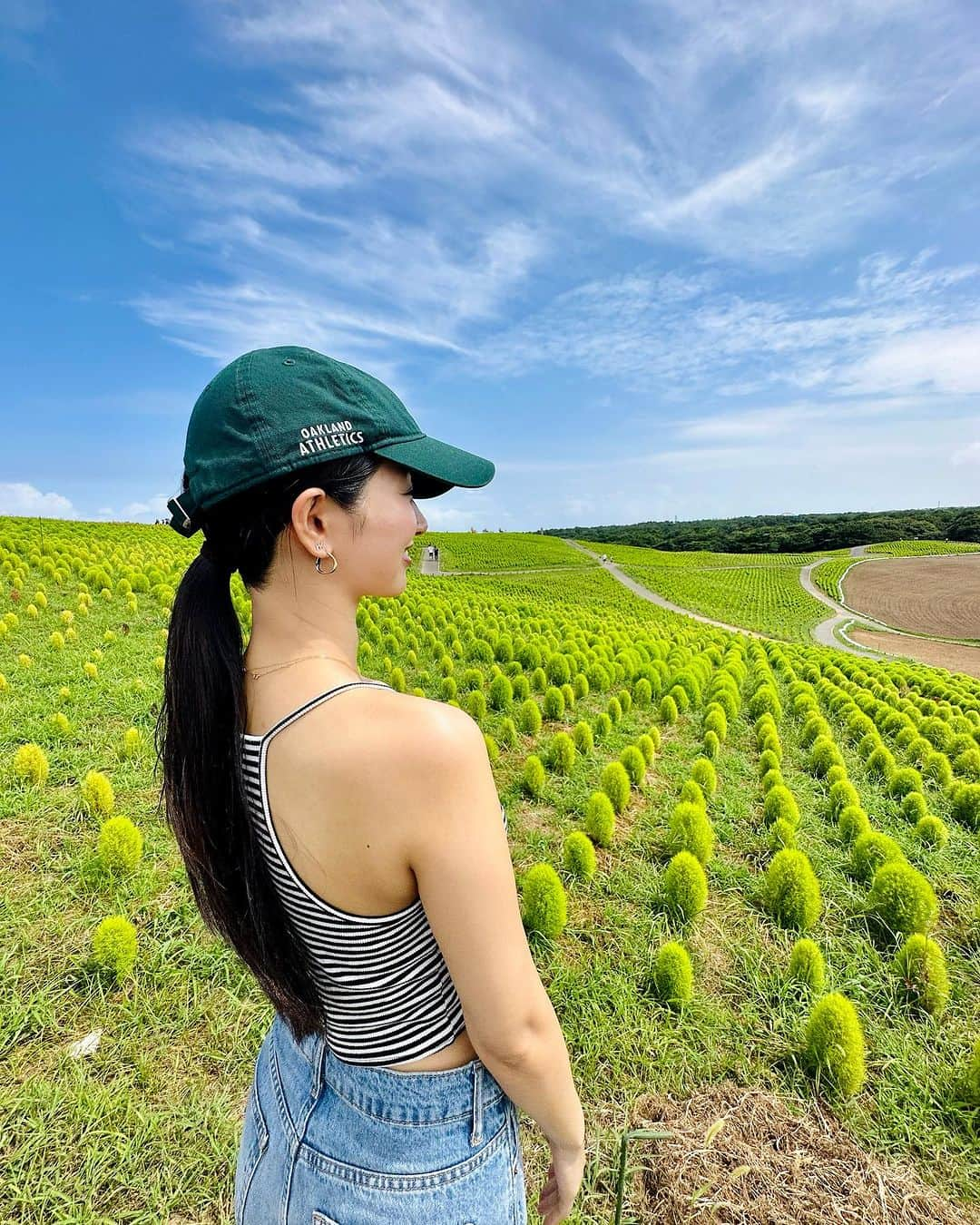 水上桃華さんのインスタグラム写真 - (水上桃華Instagram)「今はコキアがすごいね❤️ ひまわりの時期の #国営ひたち海浜公園  夏のおもいで🌻☀︎🫶🏻  #茨城県 #ひたち海浜公園 #ひまわり畑 #ibaraki #hitachiseasidepark #sunflowers #flowergarden」10月27日 23時06分 - carbsdaisuki_