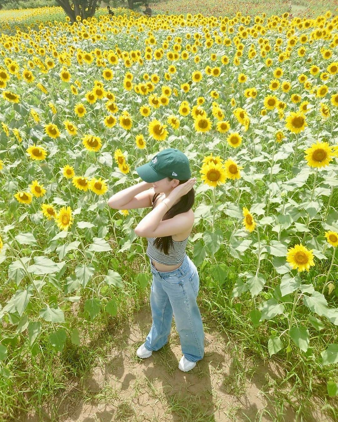 水上桃華さんのインスタグラム写真 - (水上桃華Instagram)「今はコキアがすごいね❤️ ひまわりの時期の #国営ひたち海浜公園  夏のおもいで🌻☀︎🫶🏻  #茨城県 #ひたち海浜公園 #ひまわり畑 #ibaraki #hitachiseasidepark #sunflowers #flowergarden」10月27日 23時06分 - carbsdaisuki_