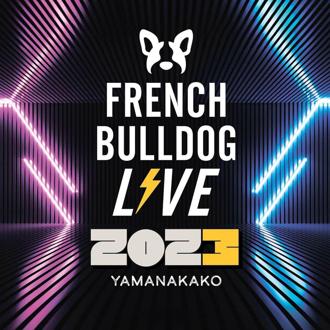 French Bulldog Lifeのインスタグラム：「明日はいよいよ「フレブルLIVE」day1⚡️  今年も運営チームの皆さまのお力を借りて、無事に事前準備が完了しました！  あとは、たっくさんのフレンチブルドッグと、オーナー様をお待ちするだけです🐕  涙腺ゆるめの編集部たち、入場スタートの瞬間は笑顔の裏で感動の涙があふれ、ウルウルしています…。  こんなにもたくさんの方がフレンチブルドッグを愛し、大切な時間とお金をかけて来てくださること。  これがどれほど凄く、感動的なことなのか… 心から実感する瞬間なのです。  みなさま、まだまだ至らない点はありますが、どうか存分に楽しんでいってください⚡️  私たちは「フレブルLIVE」という場所を、ご用意したに過ぎません。  イベントを作り上げるのはフレブルファミリーの皆さまですから、自由に、思い思いに、たくさん笑って過ごしてください！  それで「フレブルLIVE」は大成功です！  そしてせっかくなら、ステージコンテンツで豪華賞品をゲットしたり、うちの子を自慢していてくださいね⚡️  あぁーーーみんなに会えるのが楽しみだ！ 明日から2days、よろしくお願いします！  ★フレブルライフ編集部より  #フレブルLIVE」