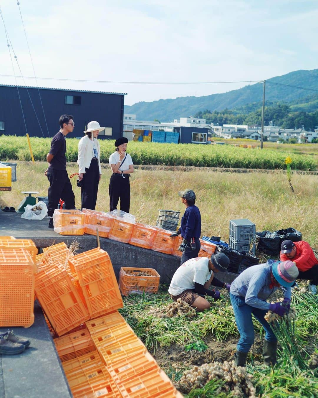 安井達郎さんのインスタグラム写真 - (安井達郎Instagram)「念願の高知旅。 友人の地元へ3日間訪れました。 桂浜、カツオ塩たたき、生姜の収穫見学、和紙漉き体験、仁淀川、スナックカラオケなどなど。お日柄も良く、自然いっぱいの高知に癒され続けた旅となりました。 新たな出会いや風土、食文化。自分の好きなものや大切にしたいことなど気づきが多かった素晴らしい時間でした。 ありがとう！また来ます。 @nahokotakahashi  @narukitakahashi」10月27日 23時22分 - tatsuroyasui