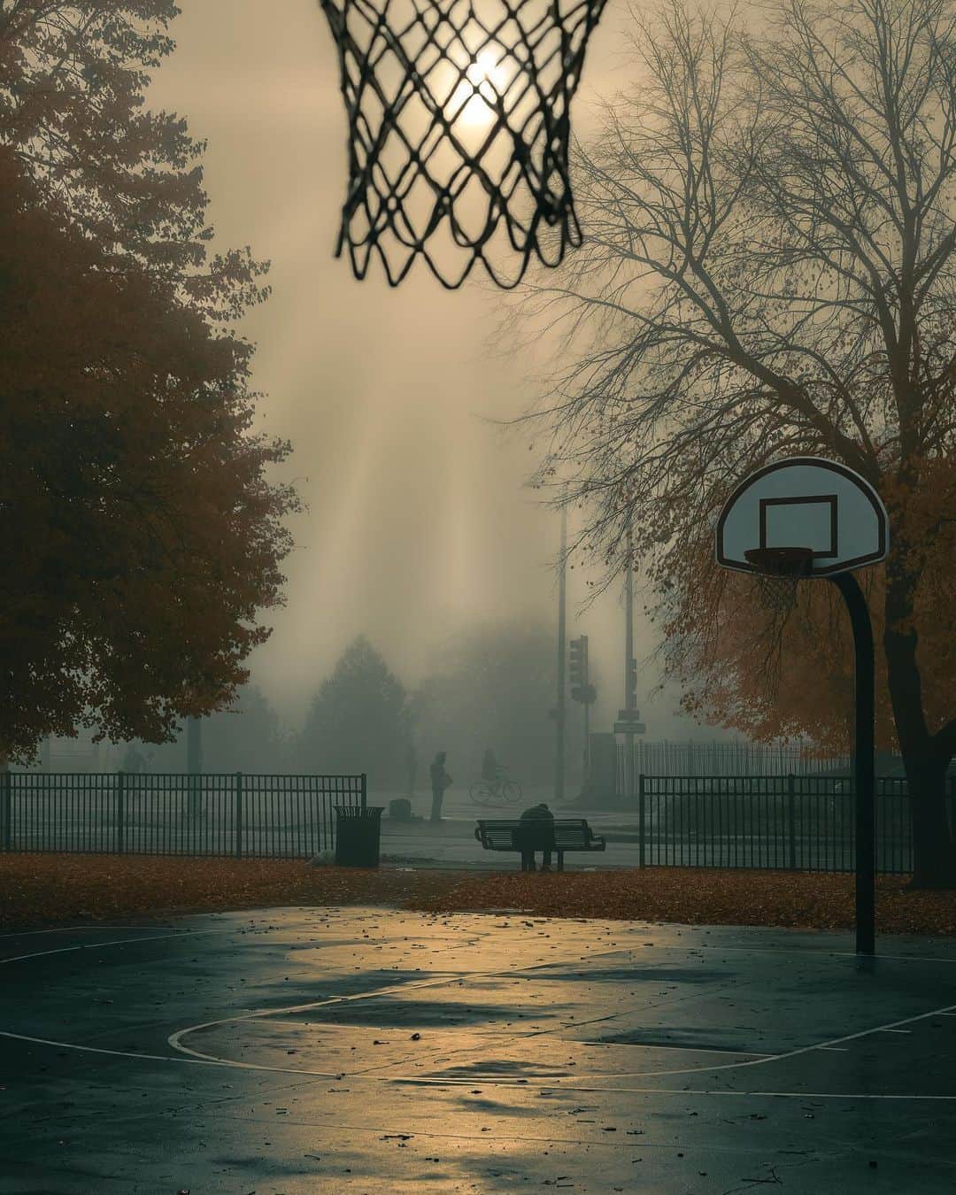 FIBAのインスタグラム：「Where will you be hooping this weekend around the globe? 🌍  📌 Detroit / USA 🇺🇸 📸 @eckshoots」