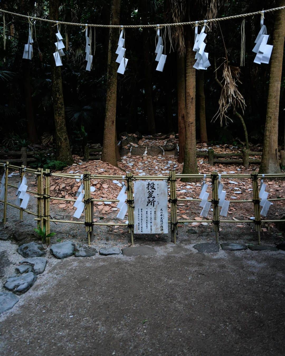 SHOCK EYEさんのインスタグラム写真 - (SHOCK EYEInstagram)「再訪できました宮崎県の青島神社⛩️  一本橋を渡って青島に入り、 独特の南国感のある木々を横目に参道を進んでいくと赤い鳥居が見えてくる。  すぐ側まで波の打ち寄せる海岸沿い。 波状の岩、鬼の洗濯板が独特の地形を見せてくれる。  ここは本当に雰囲気が良くて、 夕方が特に良い。  祀られているのは、 彦火火出見尊（ヒコホホデミノミコト）、豊玉姫命（トヨタマヒメノミコト）など。  縁結、安産、航海・交通安全のご利益があるそうだよ^ ^  本殿奥には元宮があり、 その元宮跡から、弥生式土器、獣骨等が出土することから、古代に祀りが行われていたことが推測できる特に神聖な場所。  静かに手を合わせたよ🙏  もしここにくることがあったら、 是非、元宮の奥で天の平瓮を投げて吉凶が占おう。 磐境に投げ、入れば心願成就、 天の平瓮が割れれば開運 厄祓になるんだって^ ^  やってみたら無事に磐境に入り、割れたよ✨🎯 良いことあるといいなあ^ ^  #青島神社 #宮崎県 #鬼の洗濯板」10月27日 14時43分 - shockeye_official